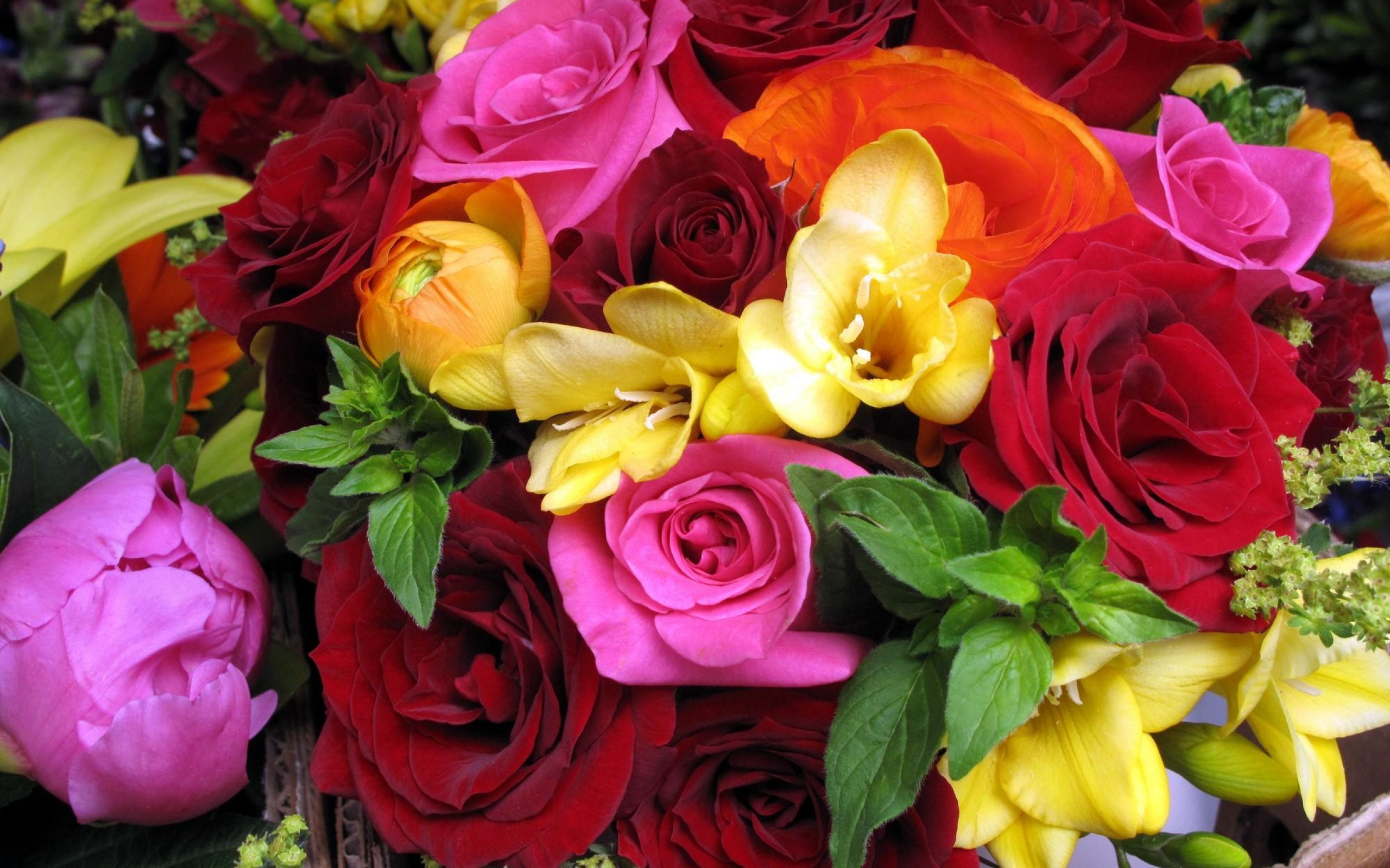 Laden Sie das Blumen, Blume, Farben, Bunt, Gelbe Blume, Rote Blume, Erde/natur, Pinke Blume, Orangene Blume-Bild kostenlos auf Ihren PC-Desktop herunter