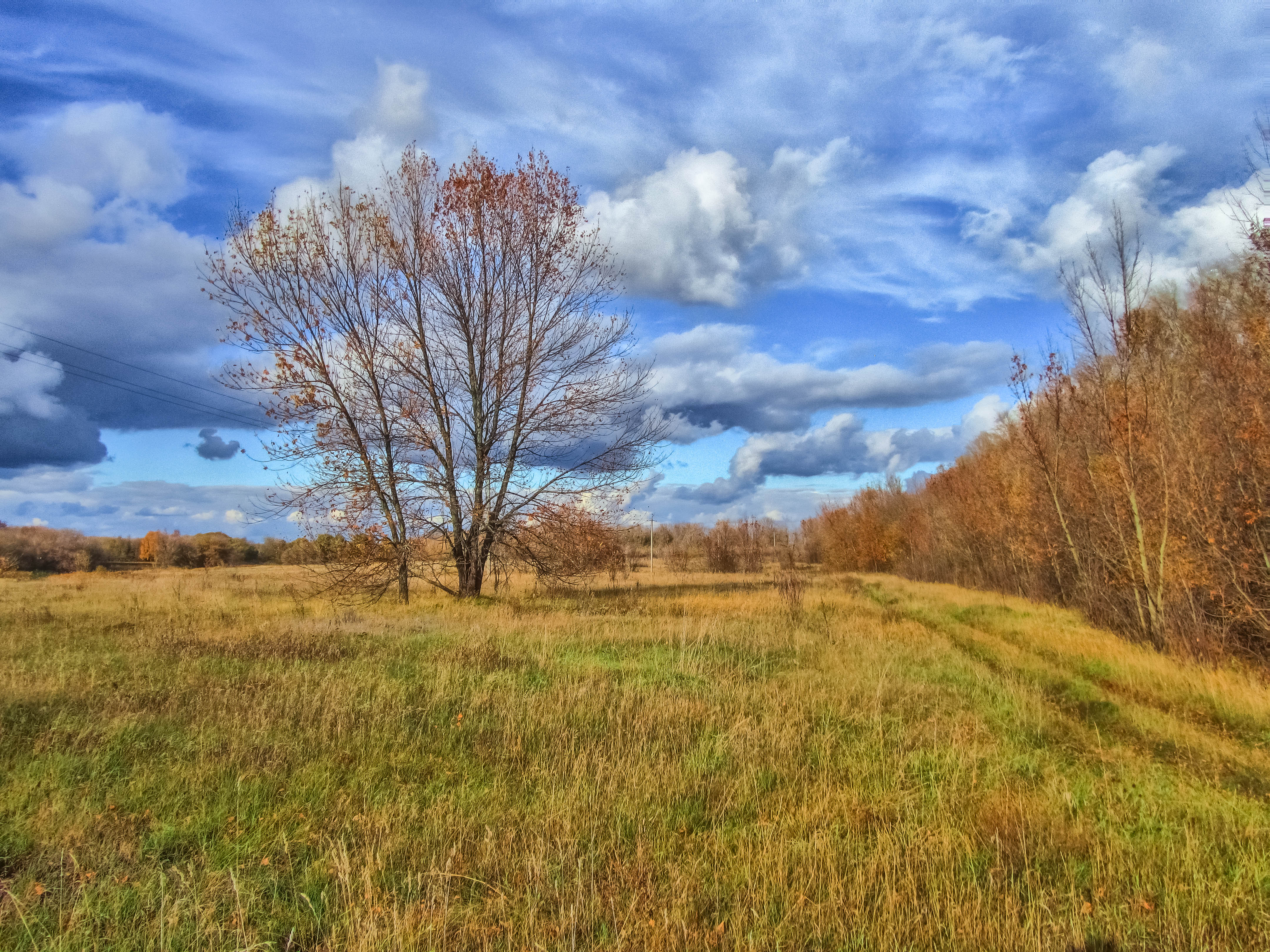 Descarga gratuita de fondo de pantalla para móvil de Paisaje, Tierra/naturaleza.