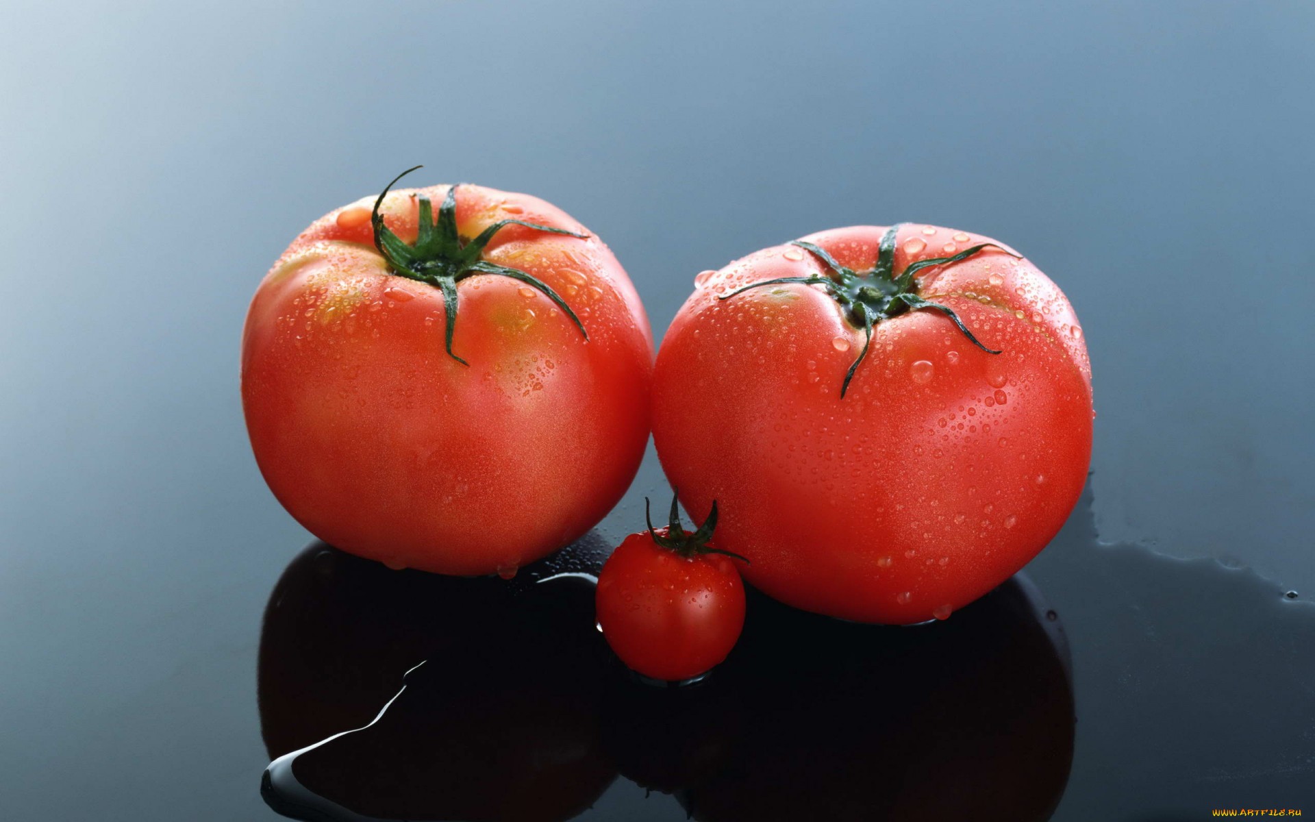 Téléchargez gratuitement l'image Nourriture, Tomate, Des Fruits sur le bureau de votre PC