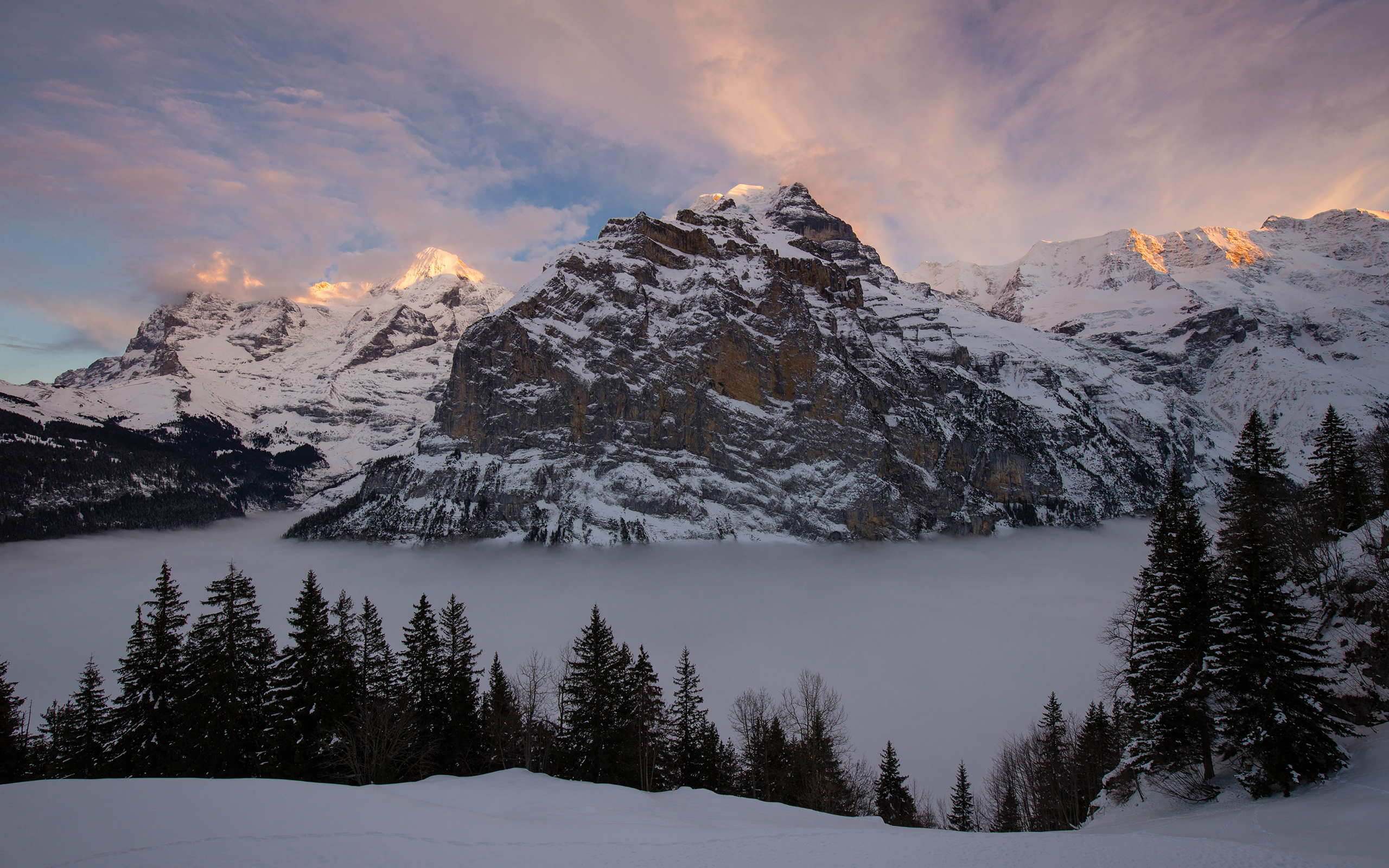 Descarga gratis la imagen Invierno, Nieve, Montaña, Bosque, Árbol, Niebla, Tierra/naturaleza en el escritorio de tu PC