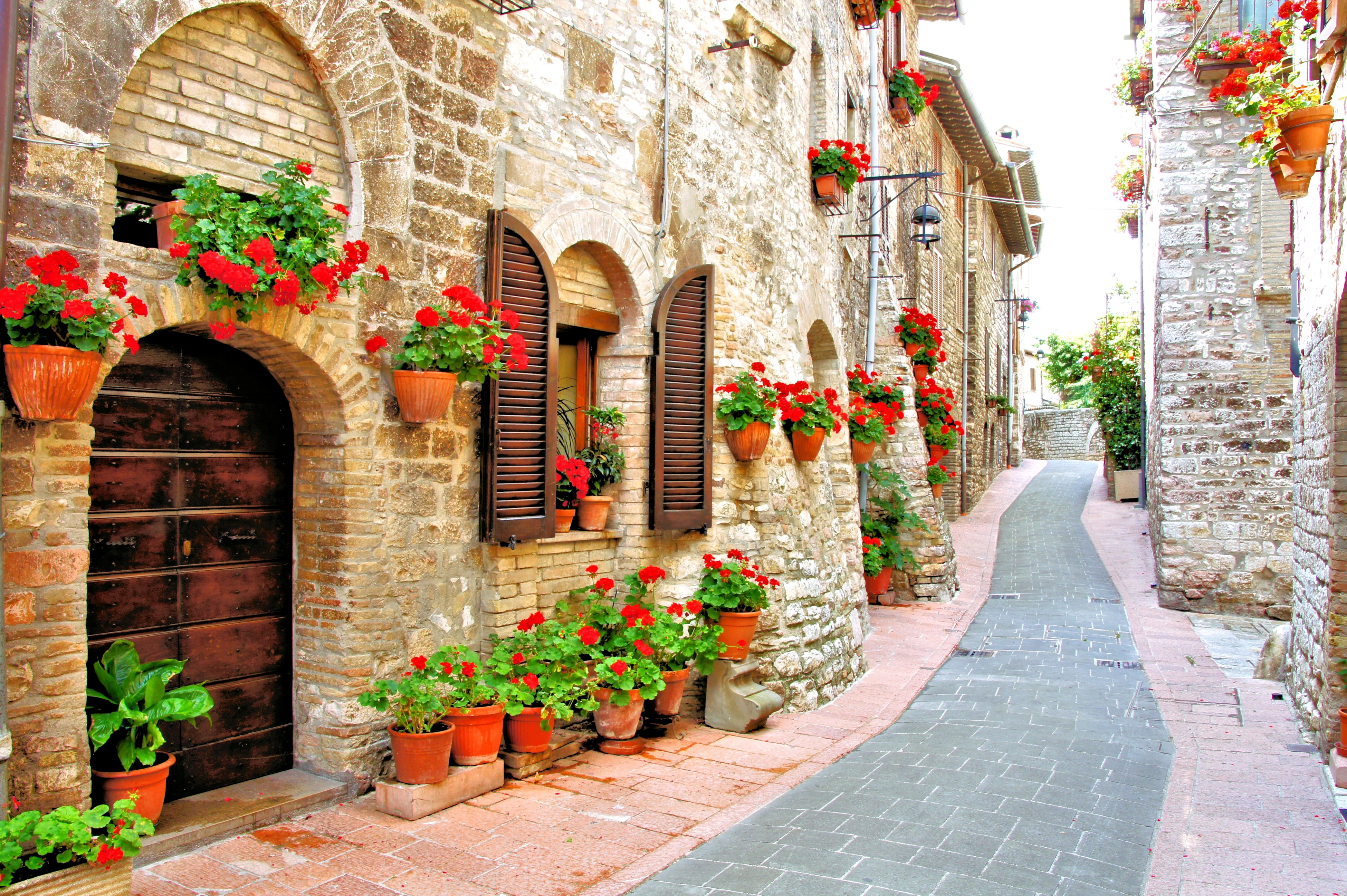 742303 descargar imagen casa, italia, calle, flor roja, hecho por el hombre, flor: fondos de pantalla y protectores de pantalla gratis