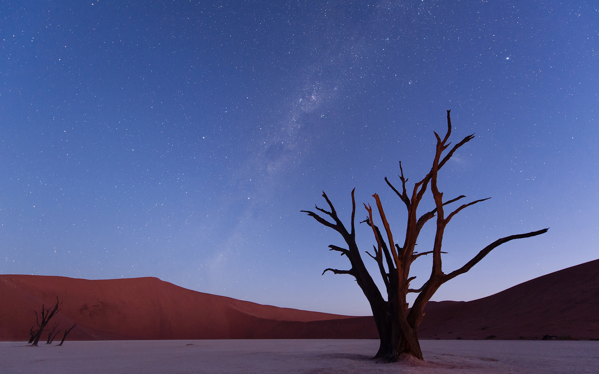 Free download wallpaper Stars, Desert, Tree, Earth on your PC desktop