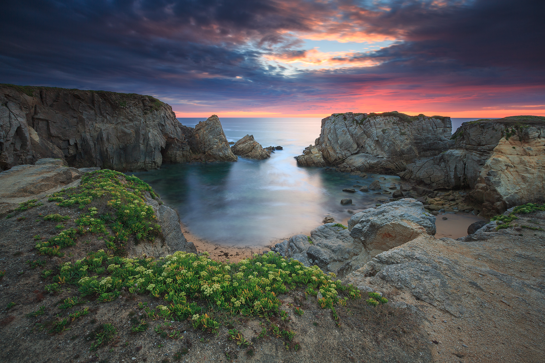 Download mobile wallpaper Sunset, Sea, Horizon, Flower, Coast, Ocean, Earth, Coastline for free.