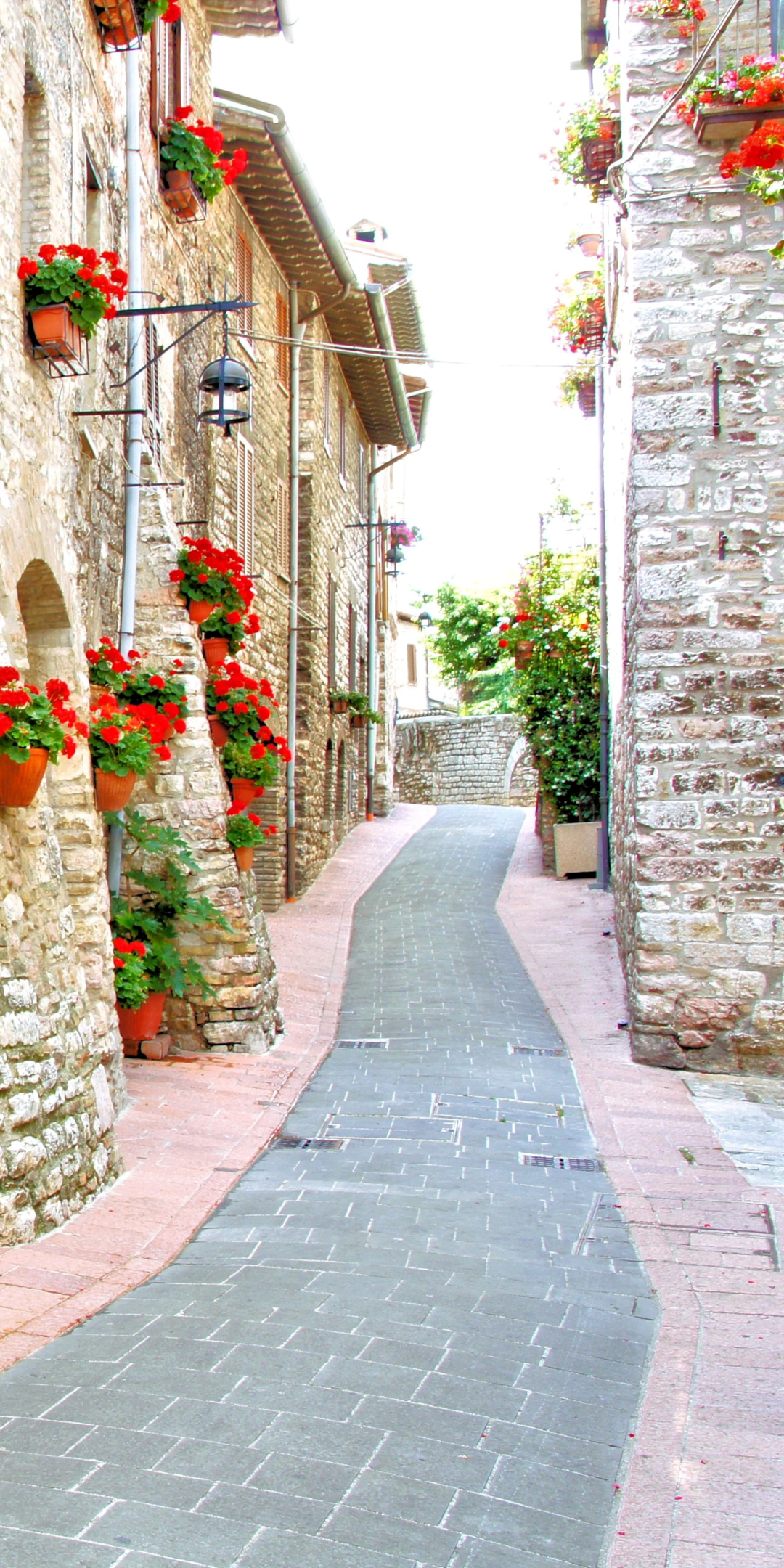 無料モバイル壁紙家, 街, イタリア, 花, 赤い花, マンメイドをダウンロードします。