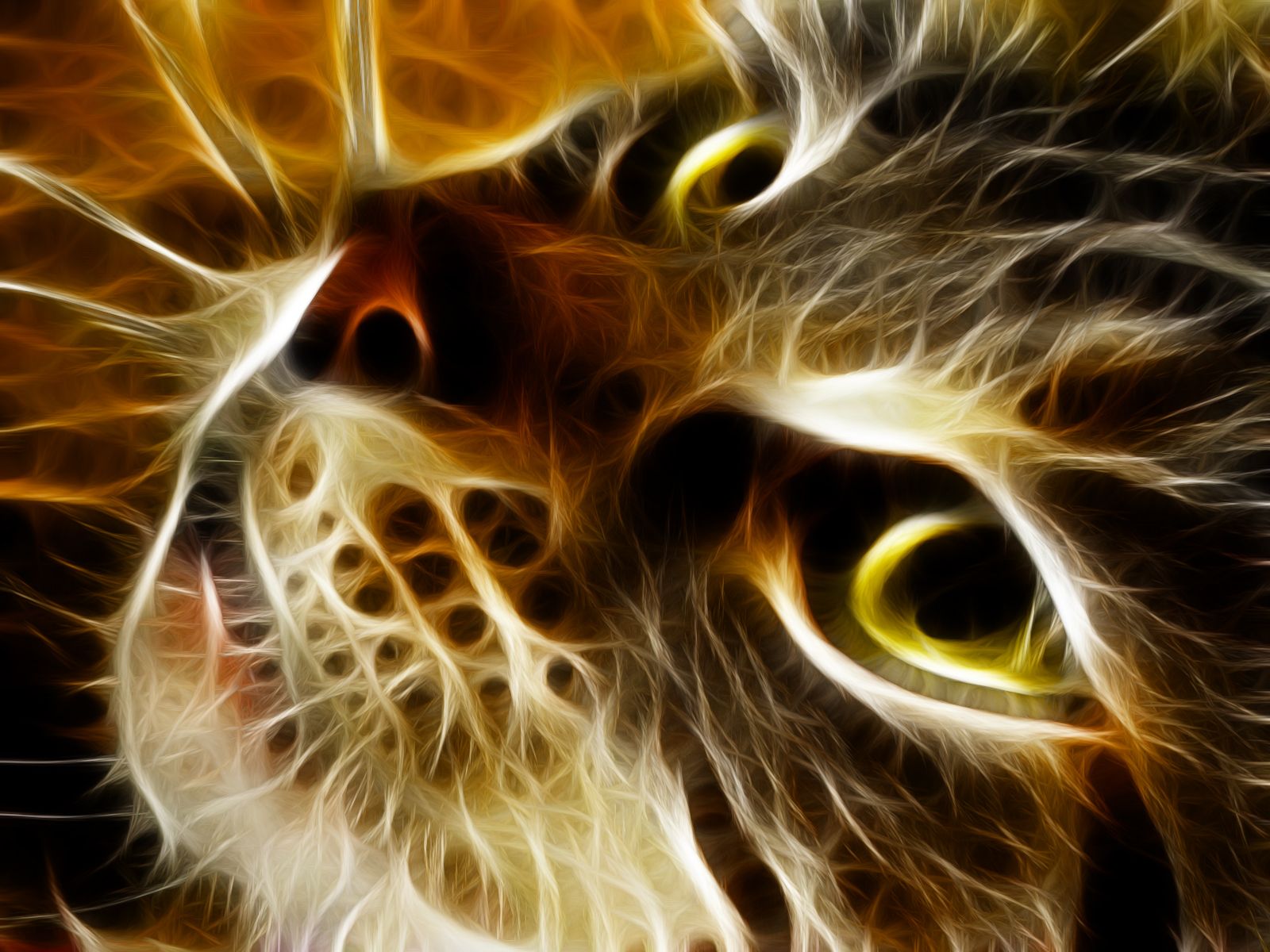 169791 descargar imagen fractales, animales, gato, gatito, gatos: fondos de pantalla y protectores de pantalla gratis