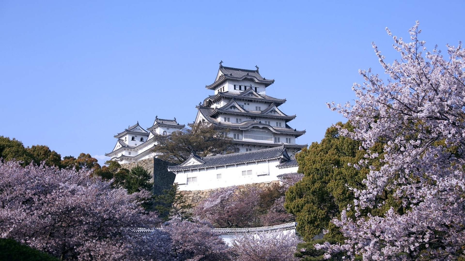 349418 télécharger le fond d'écran hyōgo, construction humaine, château de himeji, fleur de cerisier, japon, fleur de sakura, printemps, châteaux - économiseurs d'écran et images gratuitement