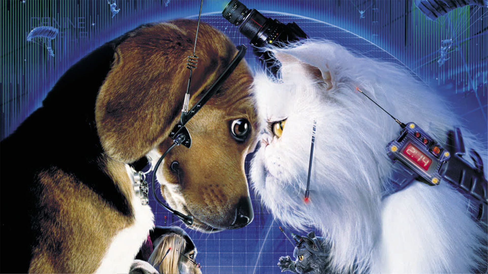 1064354 скачать картинку кино, кошки против собак - обои и заставки бесплатно