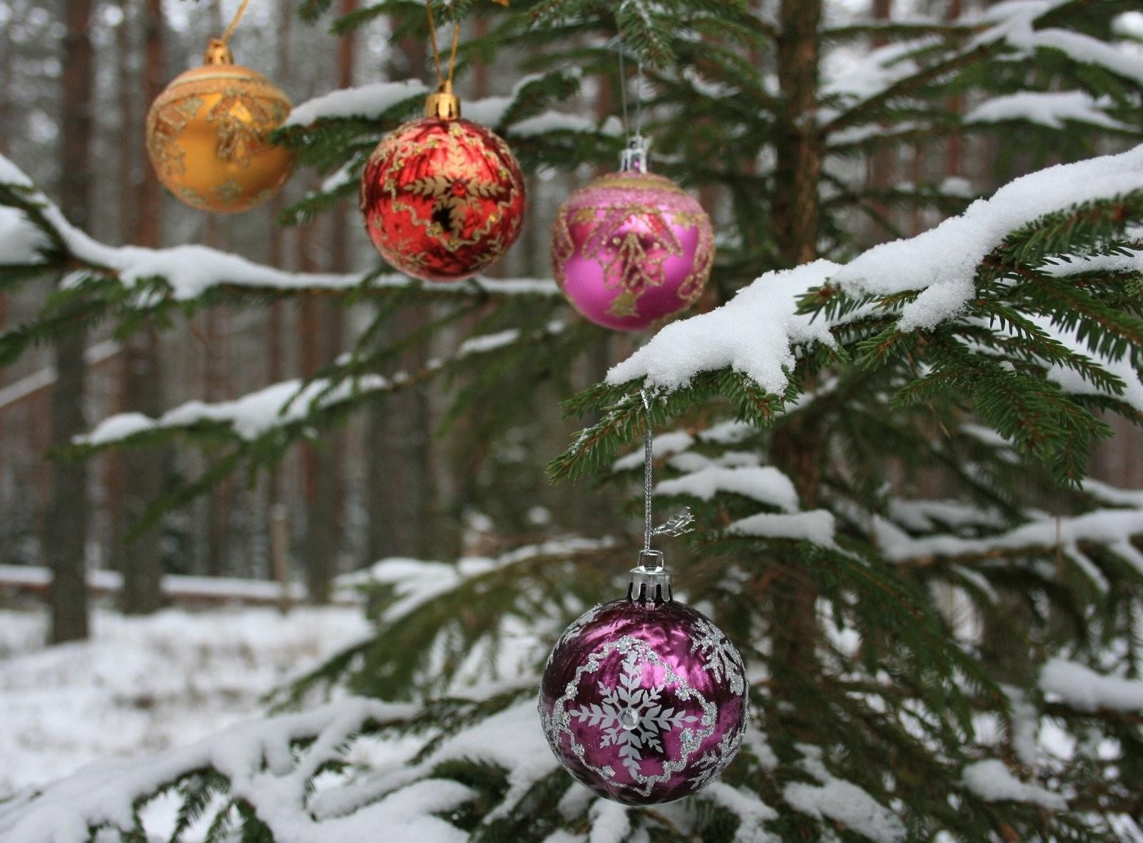 Free download wallpaper Holiday, Christmas Tree, New Year, Branch, Snow, Holidays, Forest, Balls on your PC desktop
