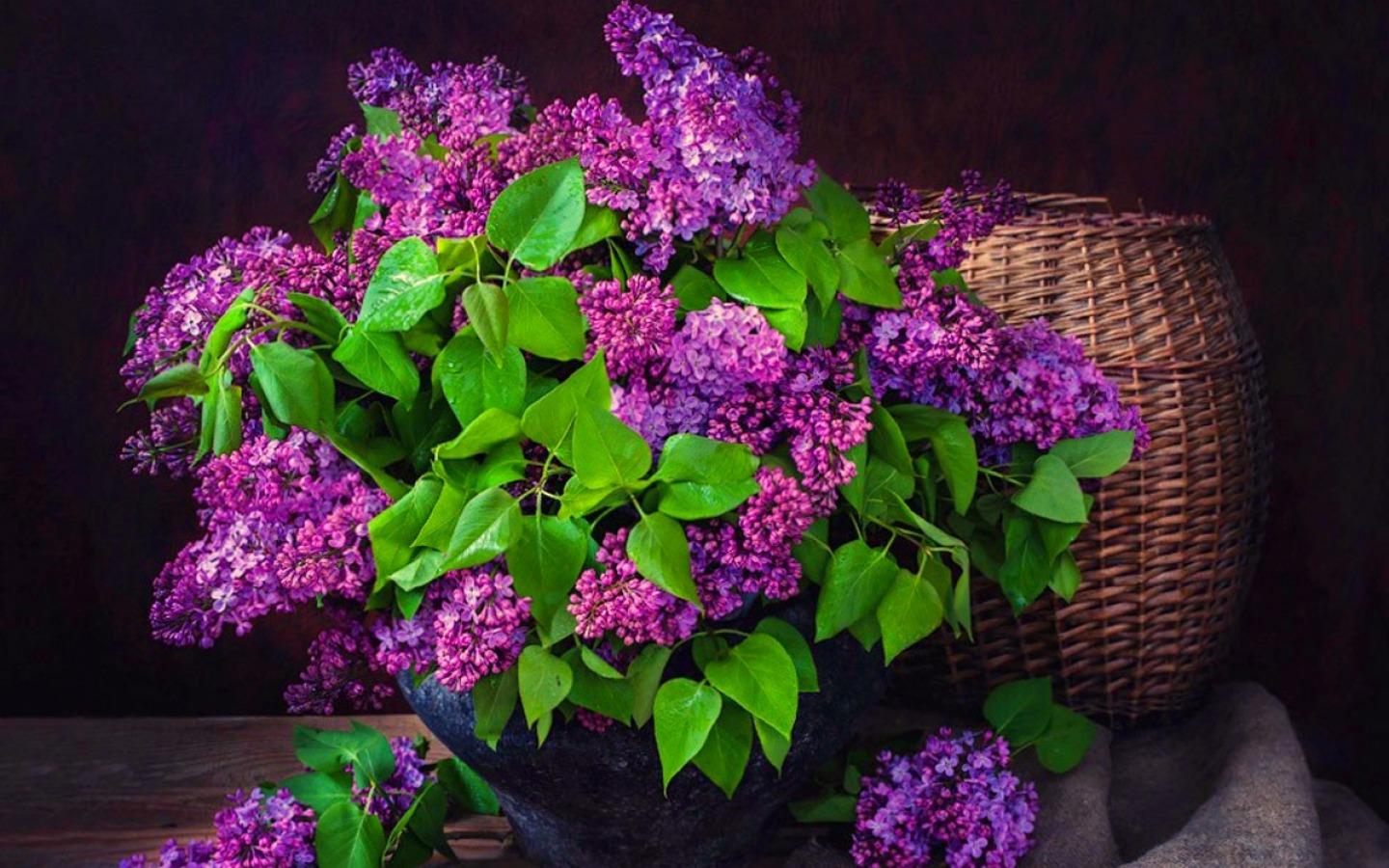 Download mobile wallpaper Lilac, Still Life, Flower, Basket, Purple Flower, Man Made for free.