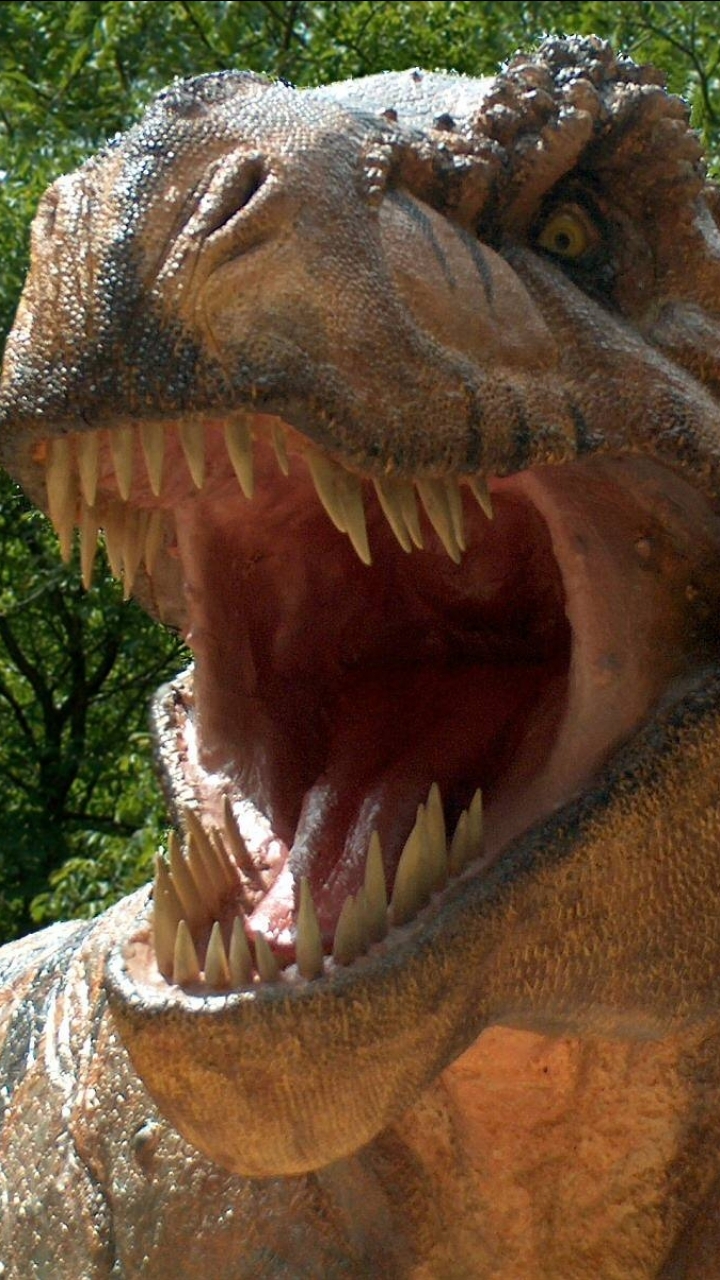 Скачать картинку Животные, Динозавры, Тиранозавр Рекс в телефон бесплатно.