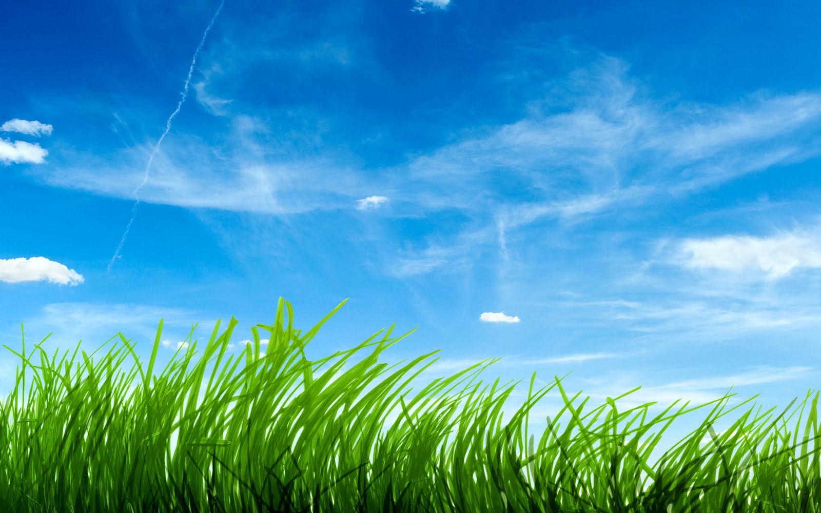 Free download wallpaper Background, Grass, Sky on your PC desktop