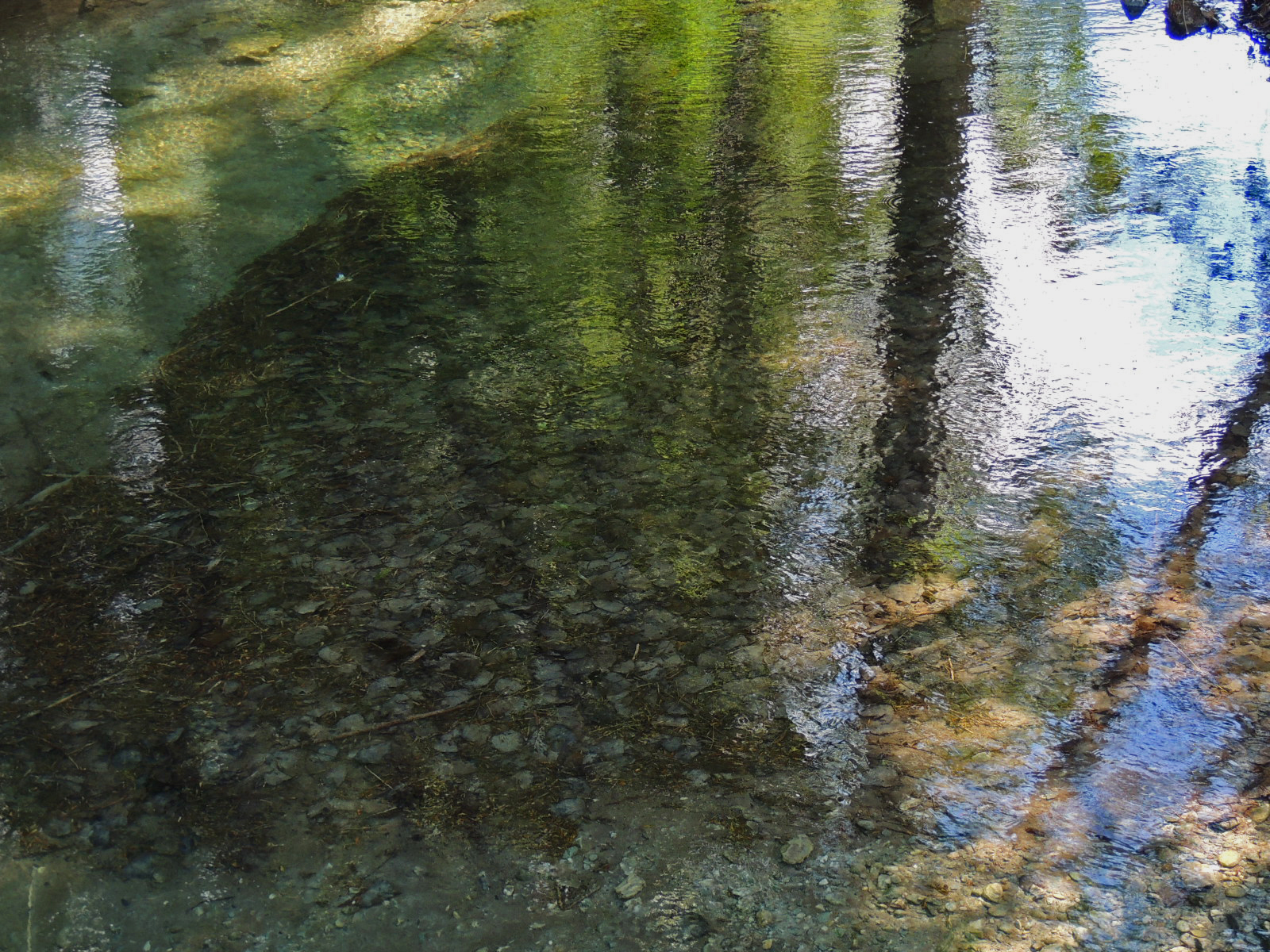 Descarga gratis la imagen Agua, Tierra/naturaleza en el escritorio de tu PC