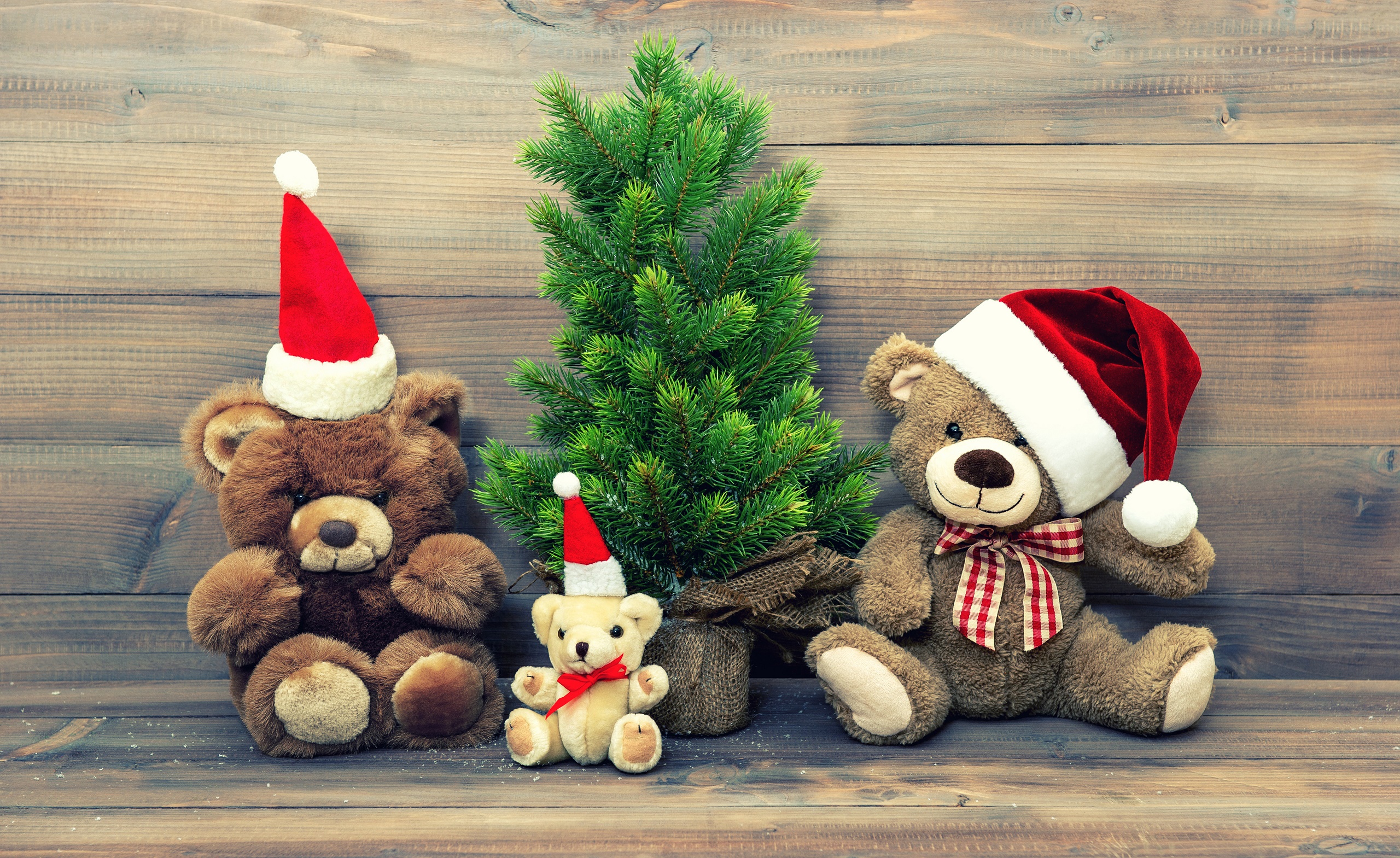 726028 завантажити картинку різдво, свято, різдвяна ялинка, капелюх діда мороза, м'яка іграшка, ведмедик тедді, іграшка - шпалери і заставки безкоштовно
