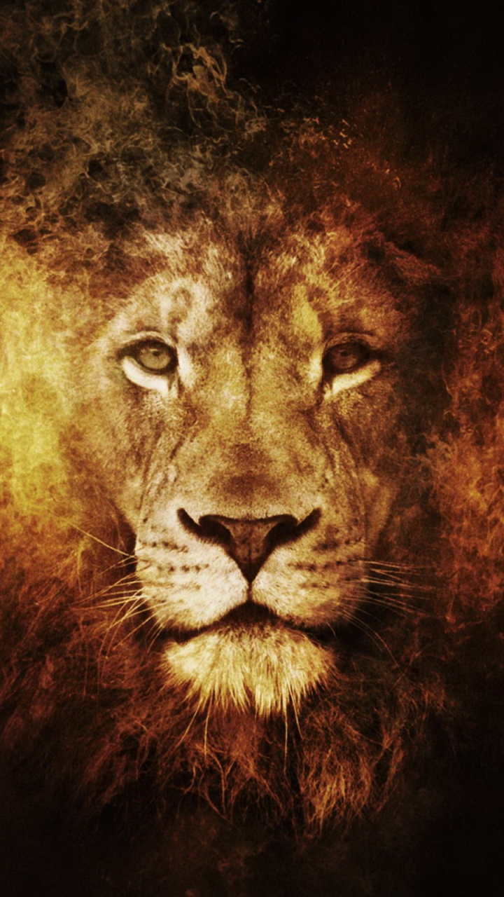 Download mobile wallpaper Lion, Cats, Animal for free.