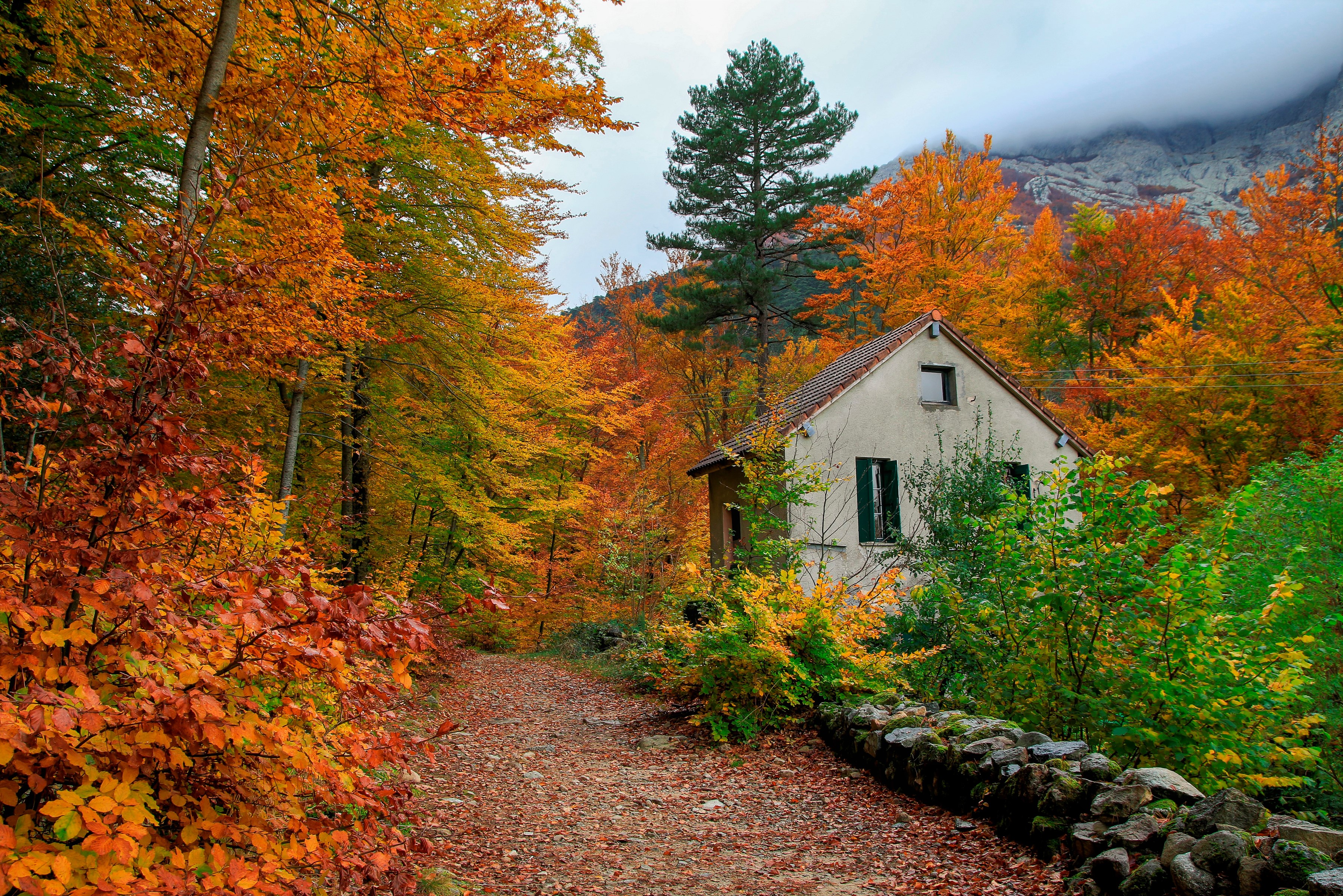 Free download wallpaper Tree, Fall, House, Path, Colorful, Shed, Man Made on your PC desktop