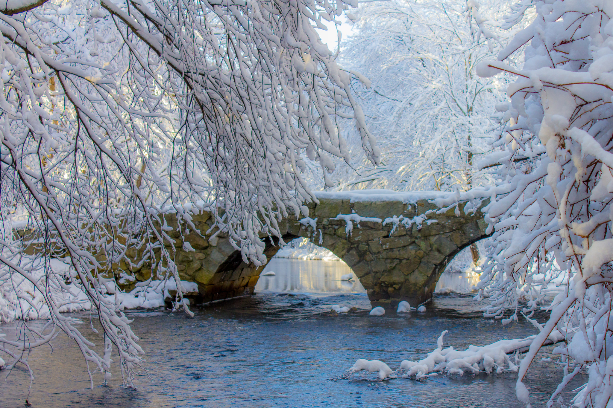 Handy-Wallpaper Winter, Schnee, Baum, Ast, Brücke, Brücken, Menschengemacht kostenlos herunterladen.