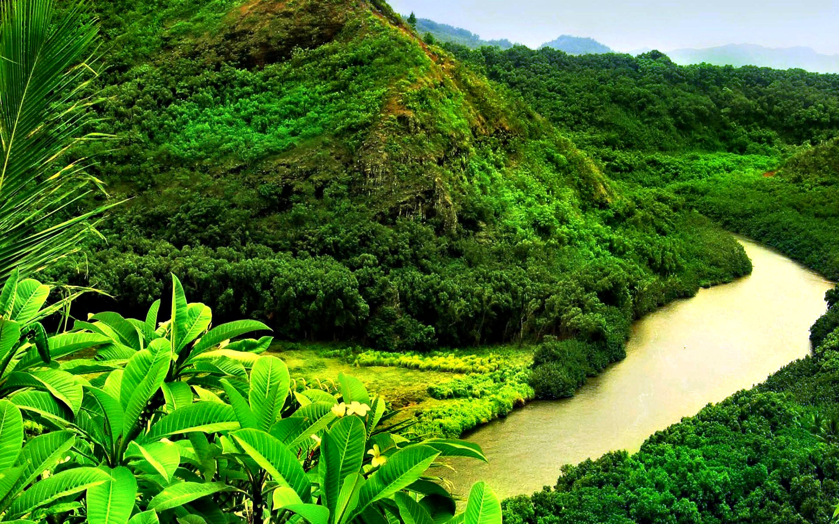 Скачать картинку Река, Гора, Зеленый, Тропический, Земля/природа в телефон бесплатно.