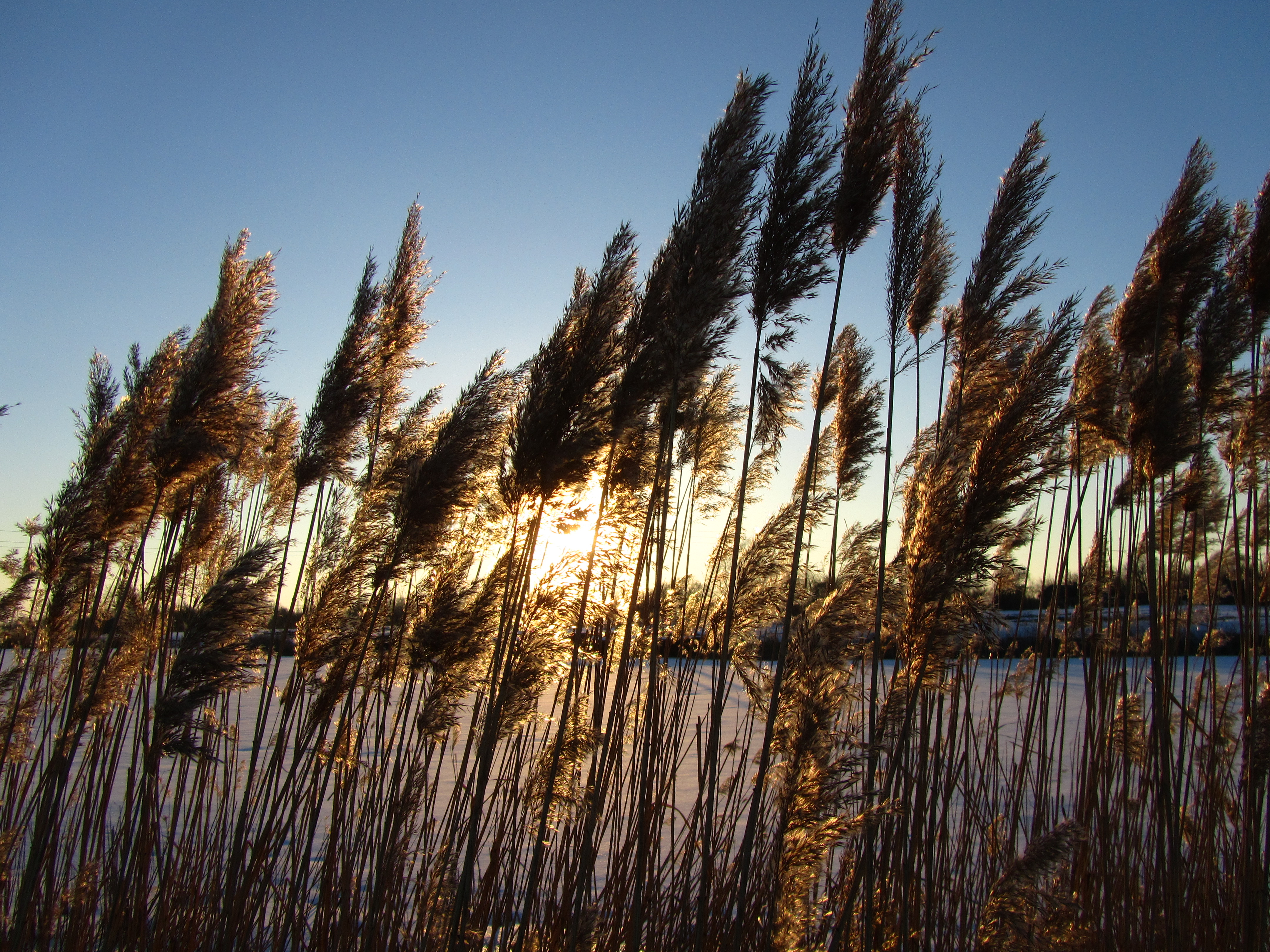 Descarga gratis la imagen Rayo De Sol, Tierra/naturaleza en el escritorio de tu PC