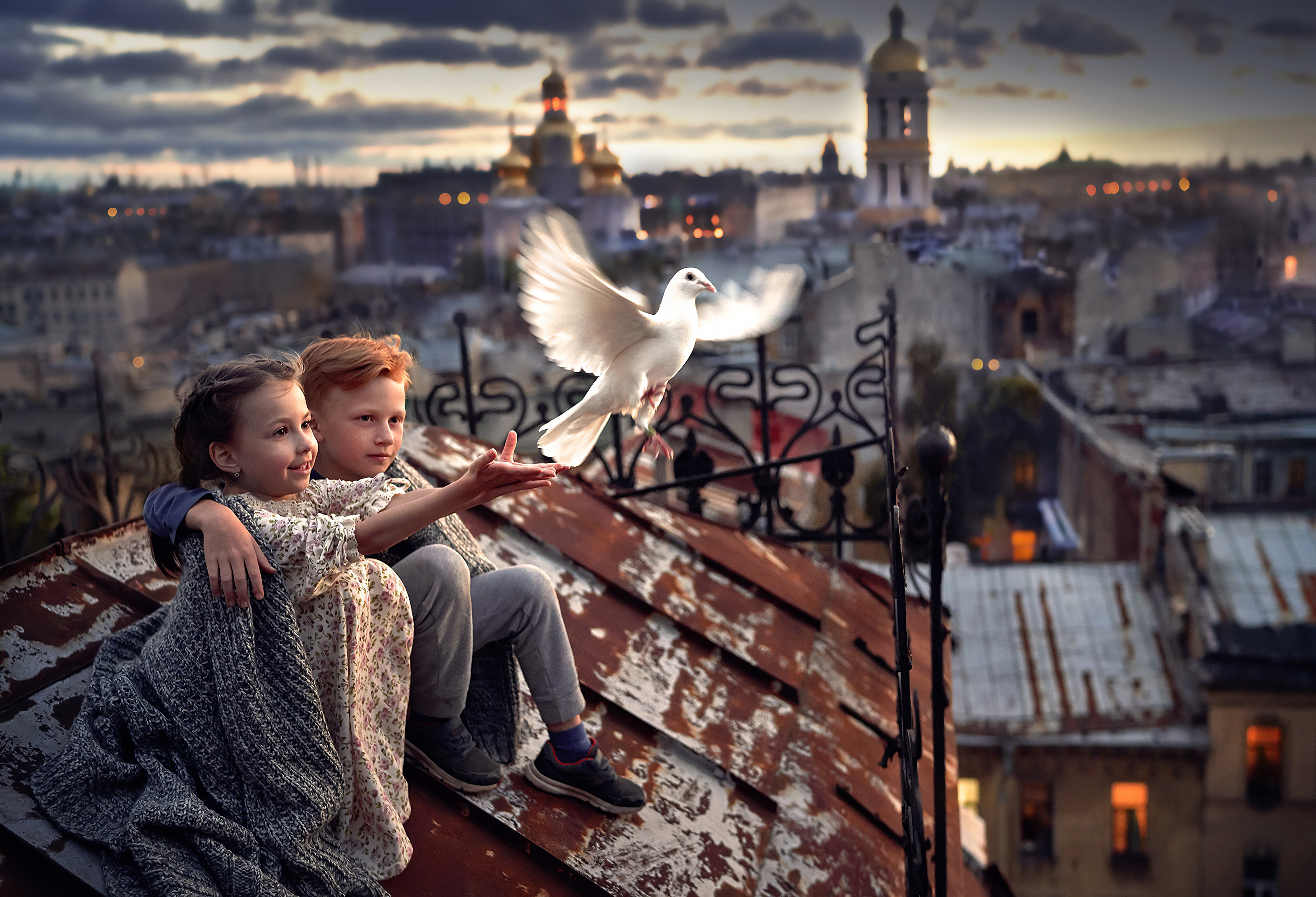 Download mobile wallpaper City, Bird, Child, Photography, Pigeon for free.
