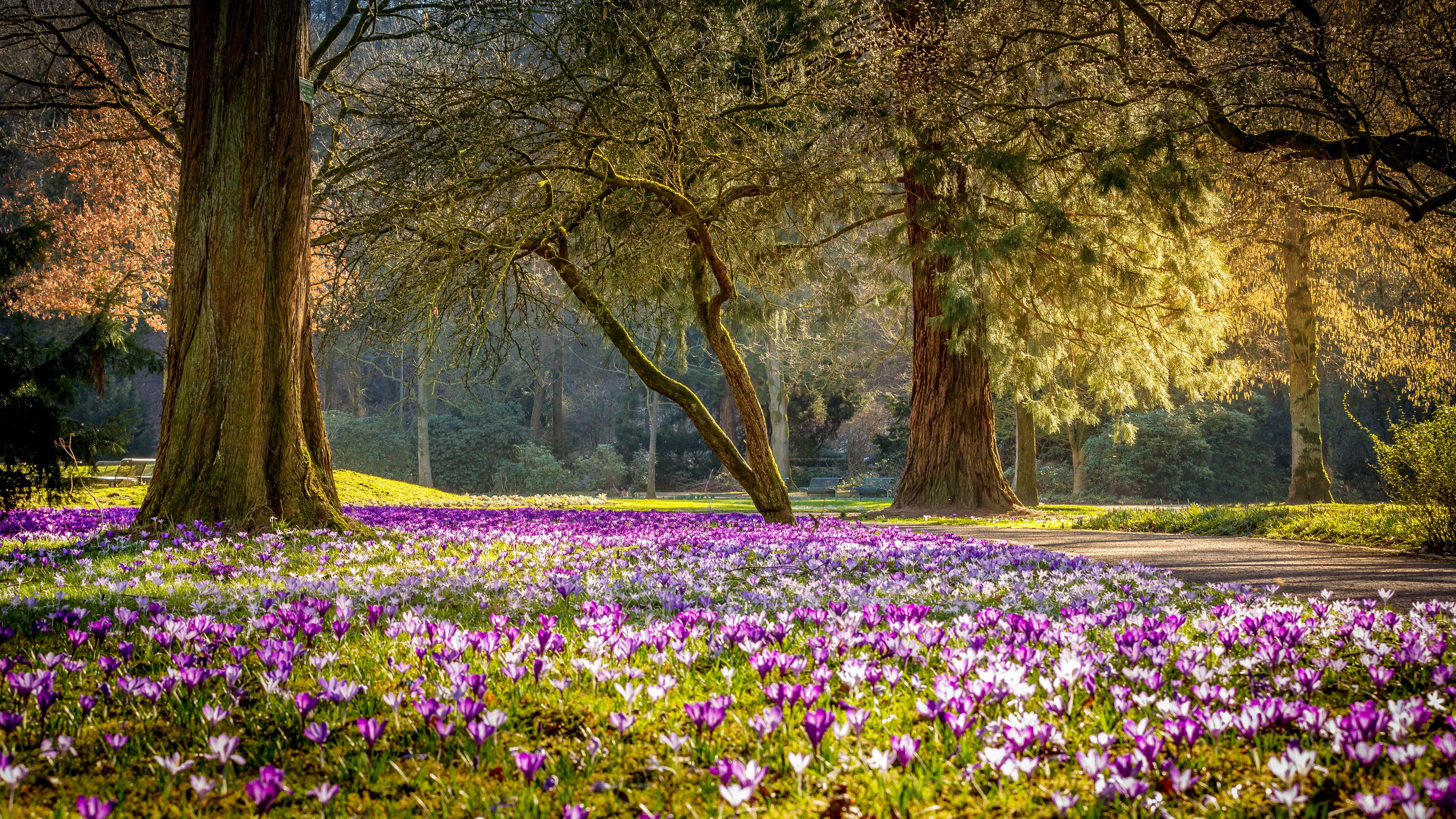 PCデスクトップに公園, 写真撮影画像を無料でダウンロード