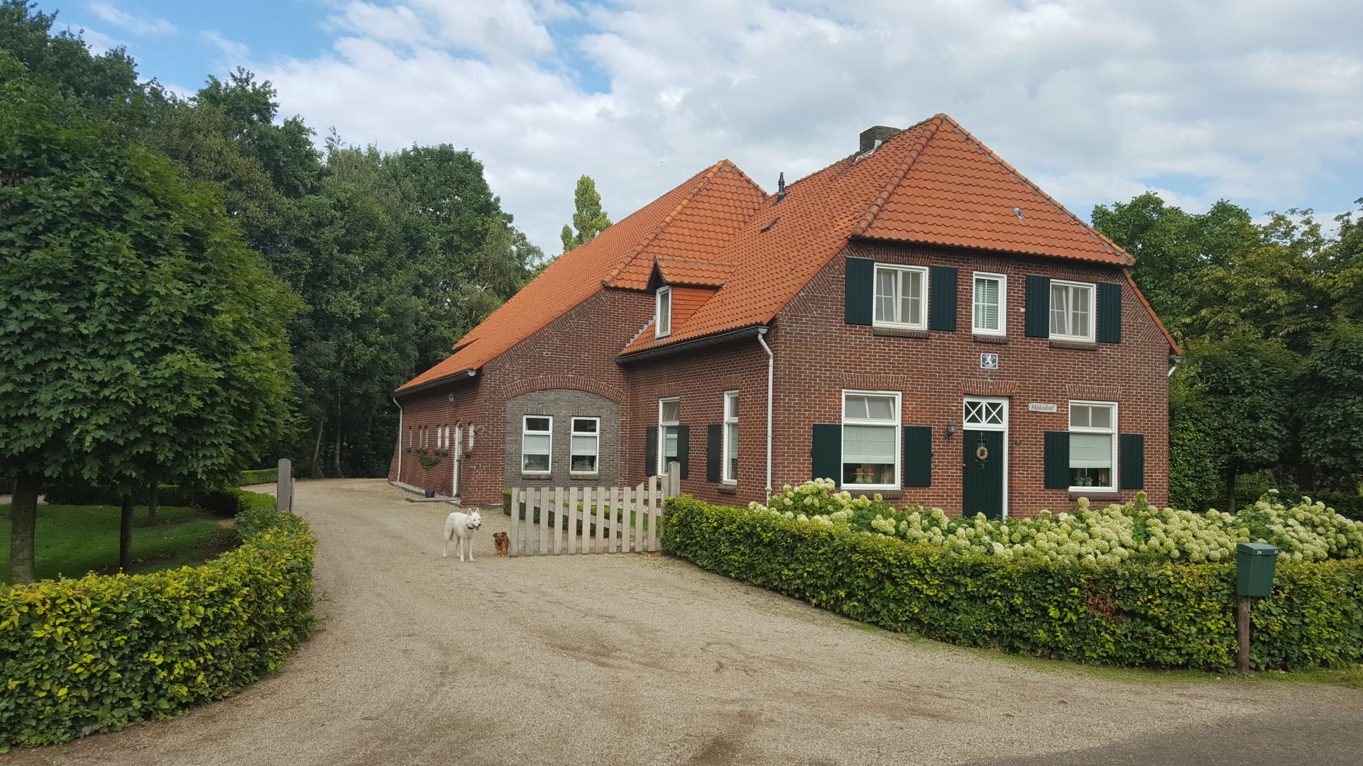 Download mobile wallpaper Building, Dog, Netherlands, Farm, Man Made for free.