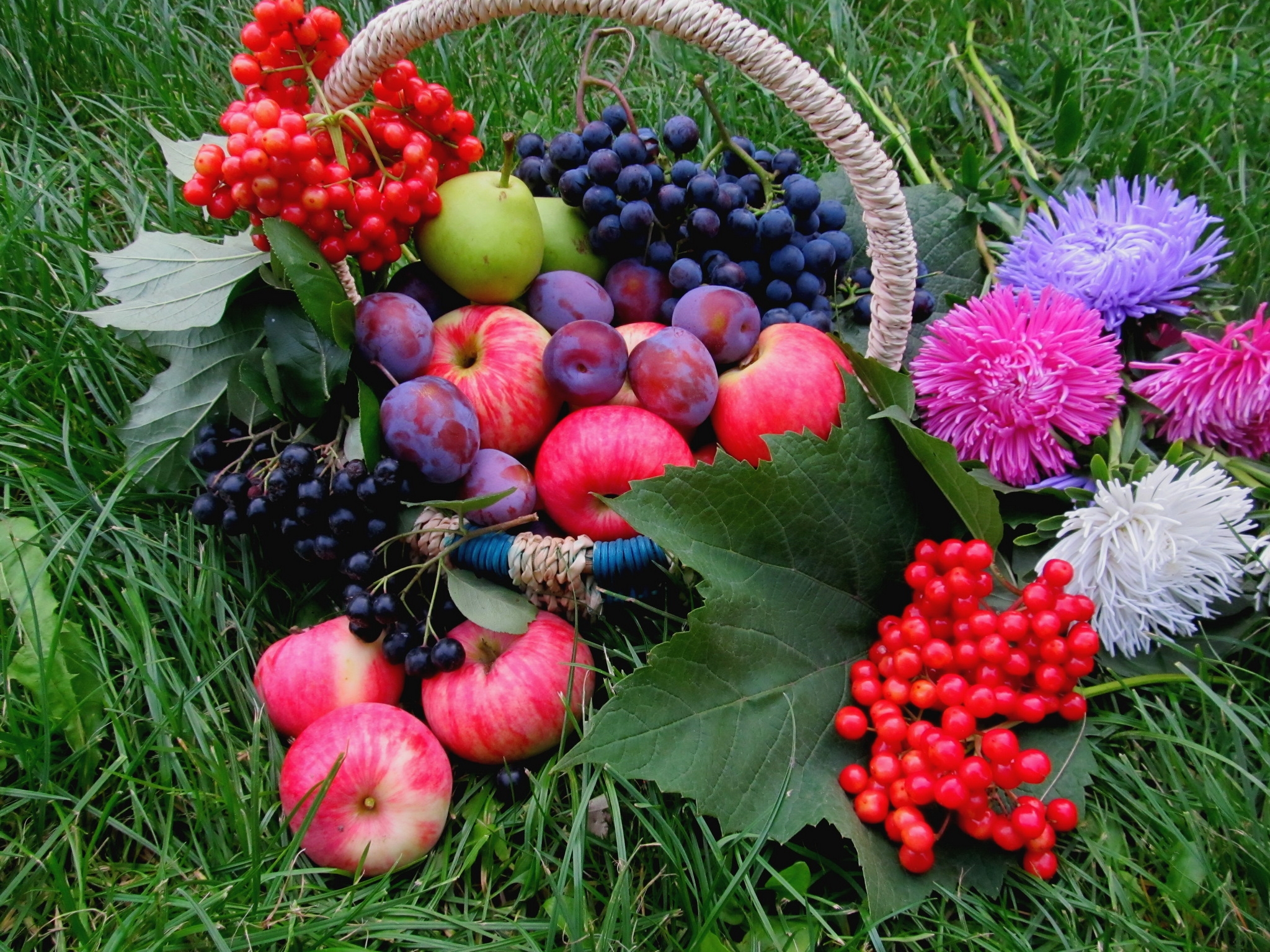 78323 скачать обои трава, яблоки, цветы, слива, еда - заставки и картинки бесплатно