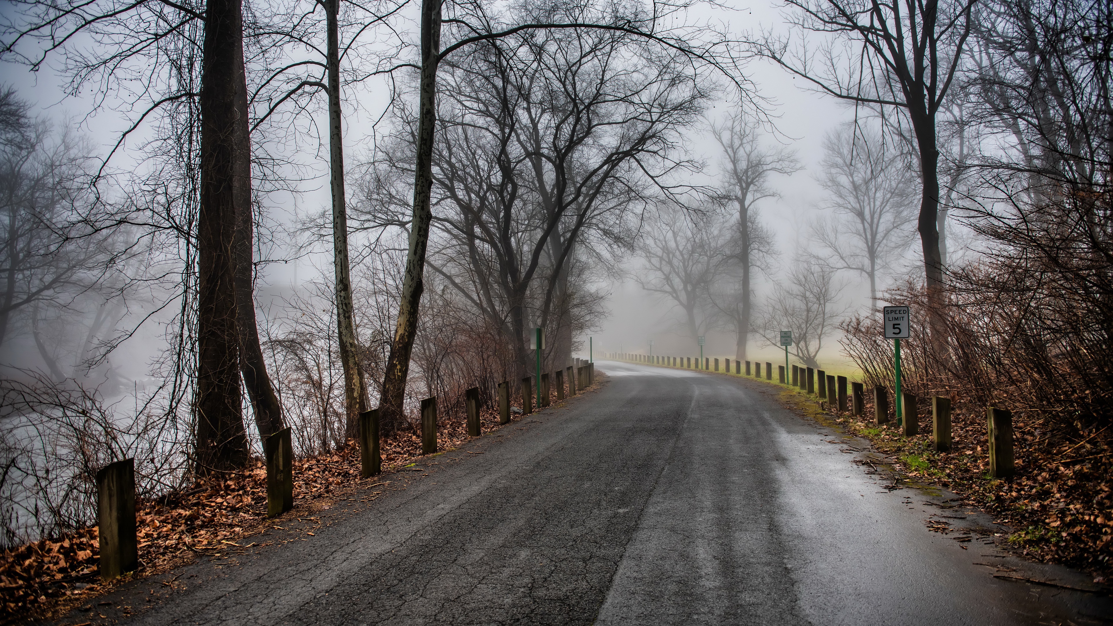 Free download wallpaper Road, Fog, Fall, Man Made on your PC desktop