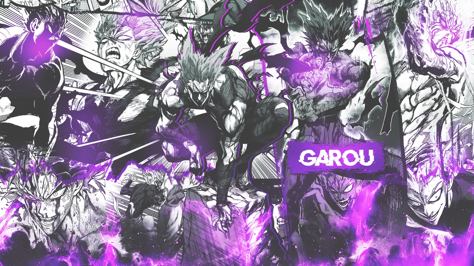 garou (one punch man), anime, one punch man