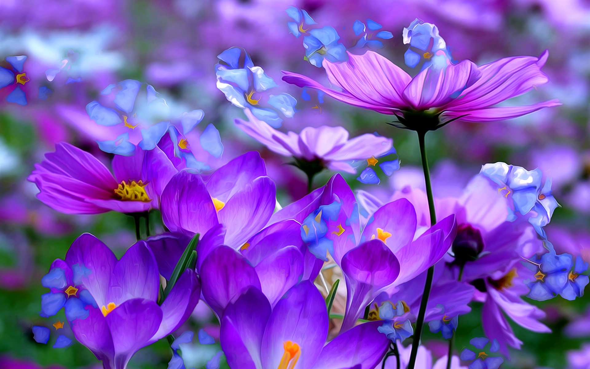 740586 скачать обои фиолетовый цветок, крокус, крупный план, картина, художественные, космос, цветок - заставки и картинки бесплатно