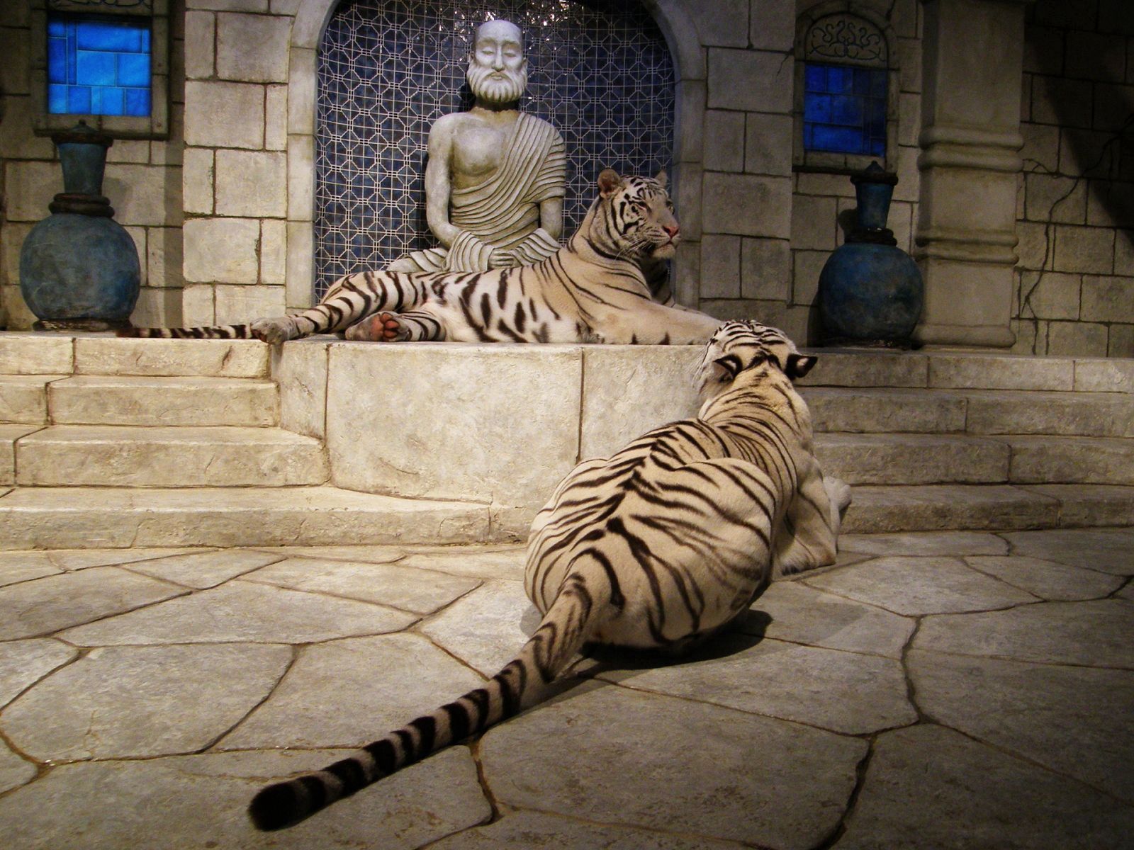 106577 скачать обои тигры, животные, помещение, комната, альбиносы, статуи - заставки и картинки бесплатно