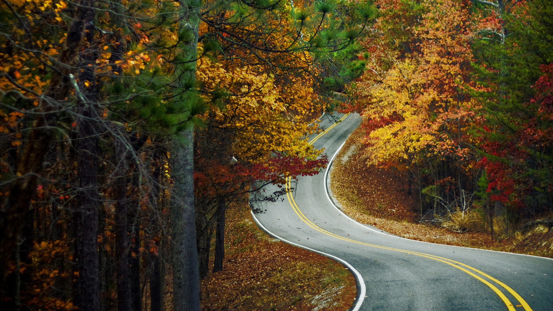 autumn, landscape, roads Image for desktop