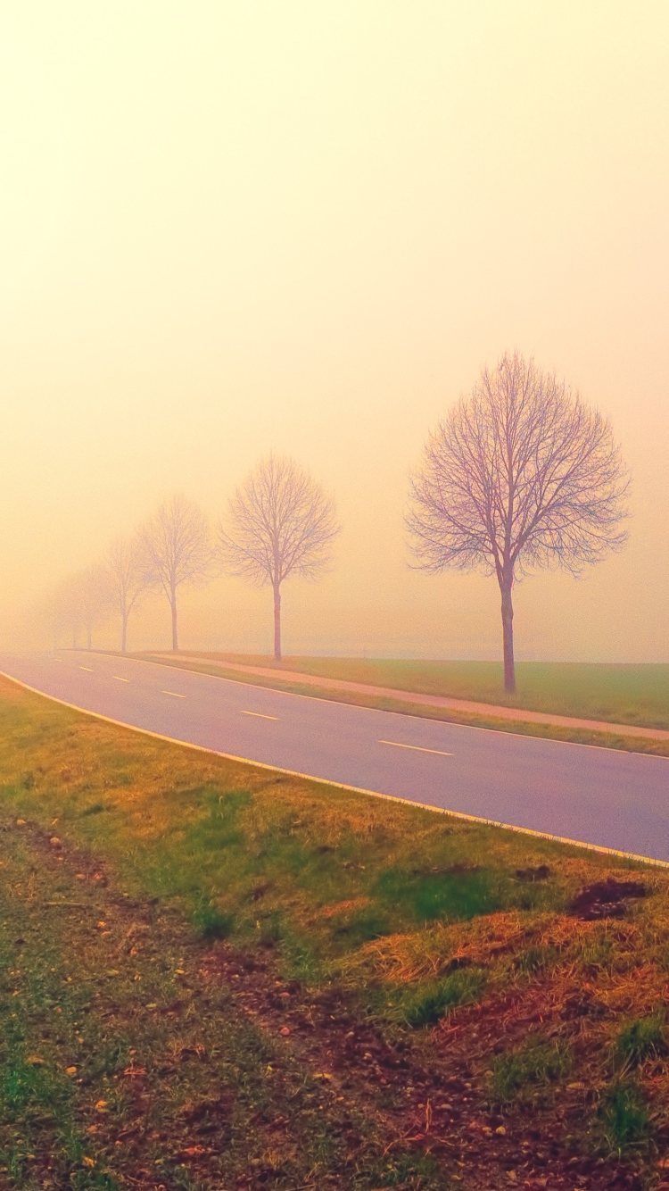 Download mobile wallpaper Road, Fog, Earth for free.