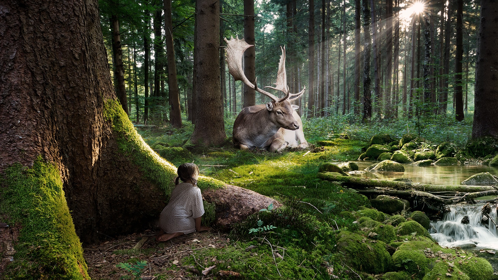 photography, manipulation, cgi, child, cute, elk, forest