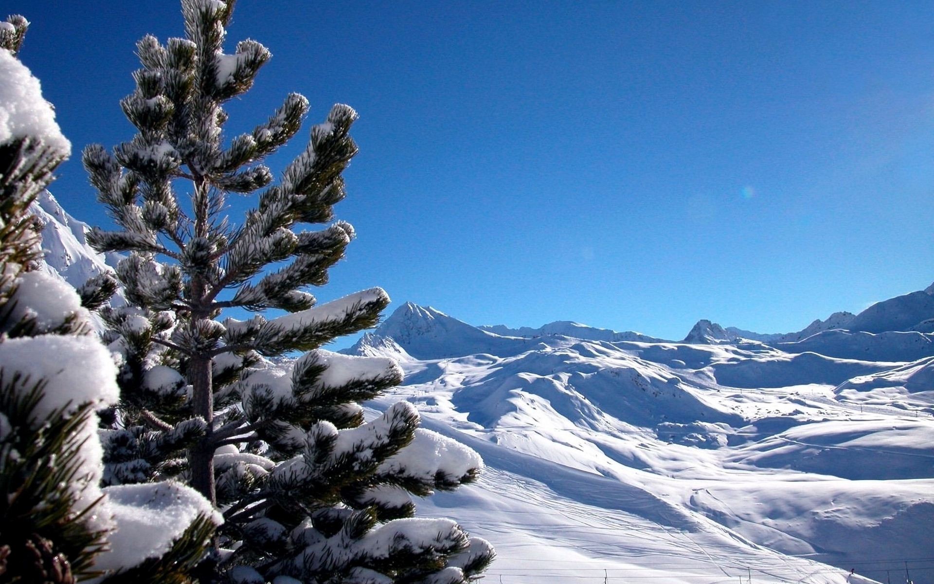 PCデスクトップに風景, 冬, 山脈, 松画像を無料でダウンロード