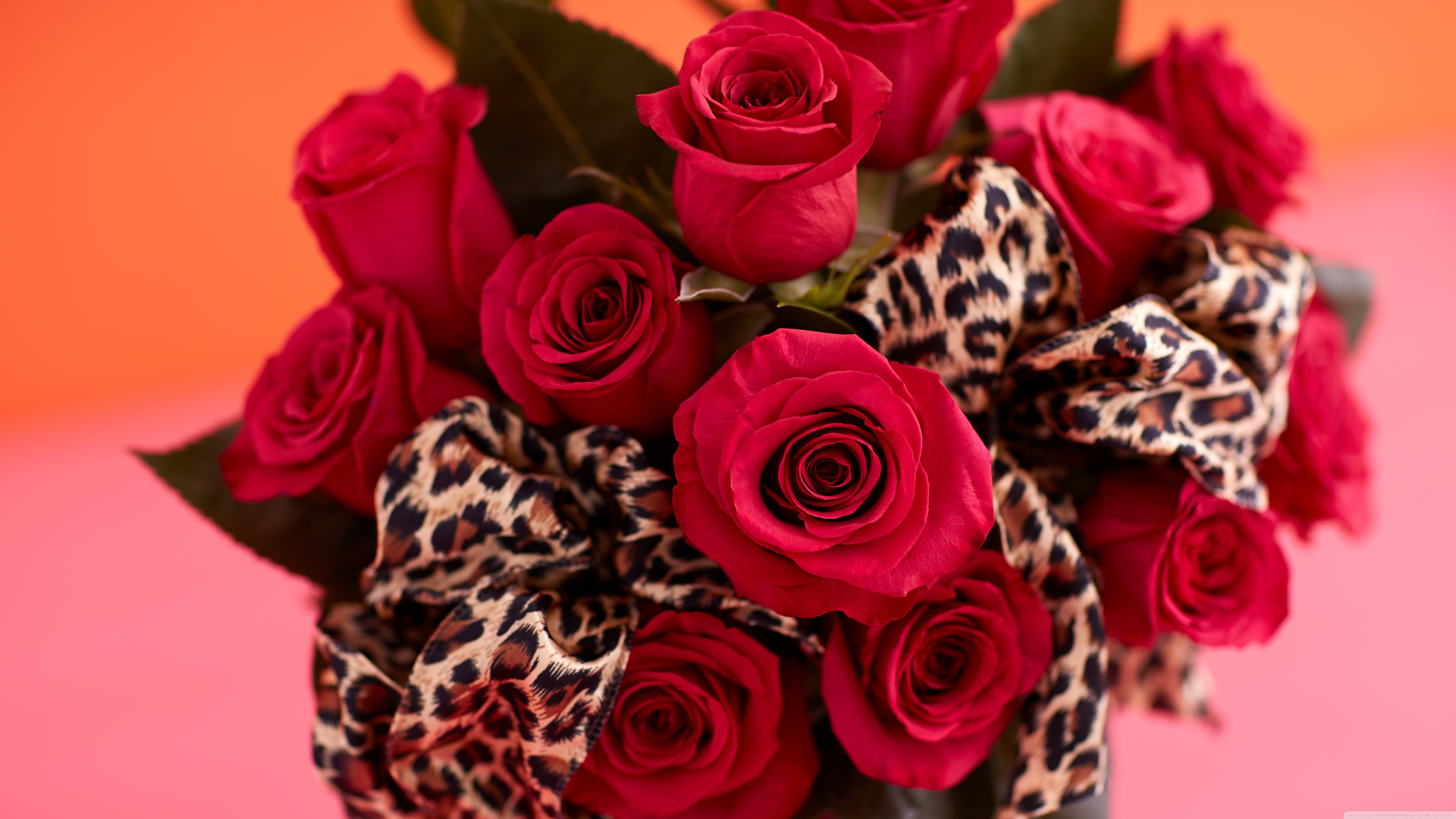 Download mobile wallpaper Flowers, Flower, Rose, Earth, Ribbon, Red Rose, Red Flower for free.
