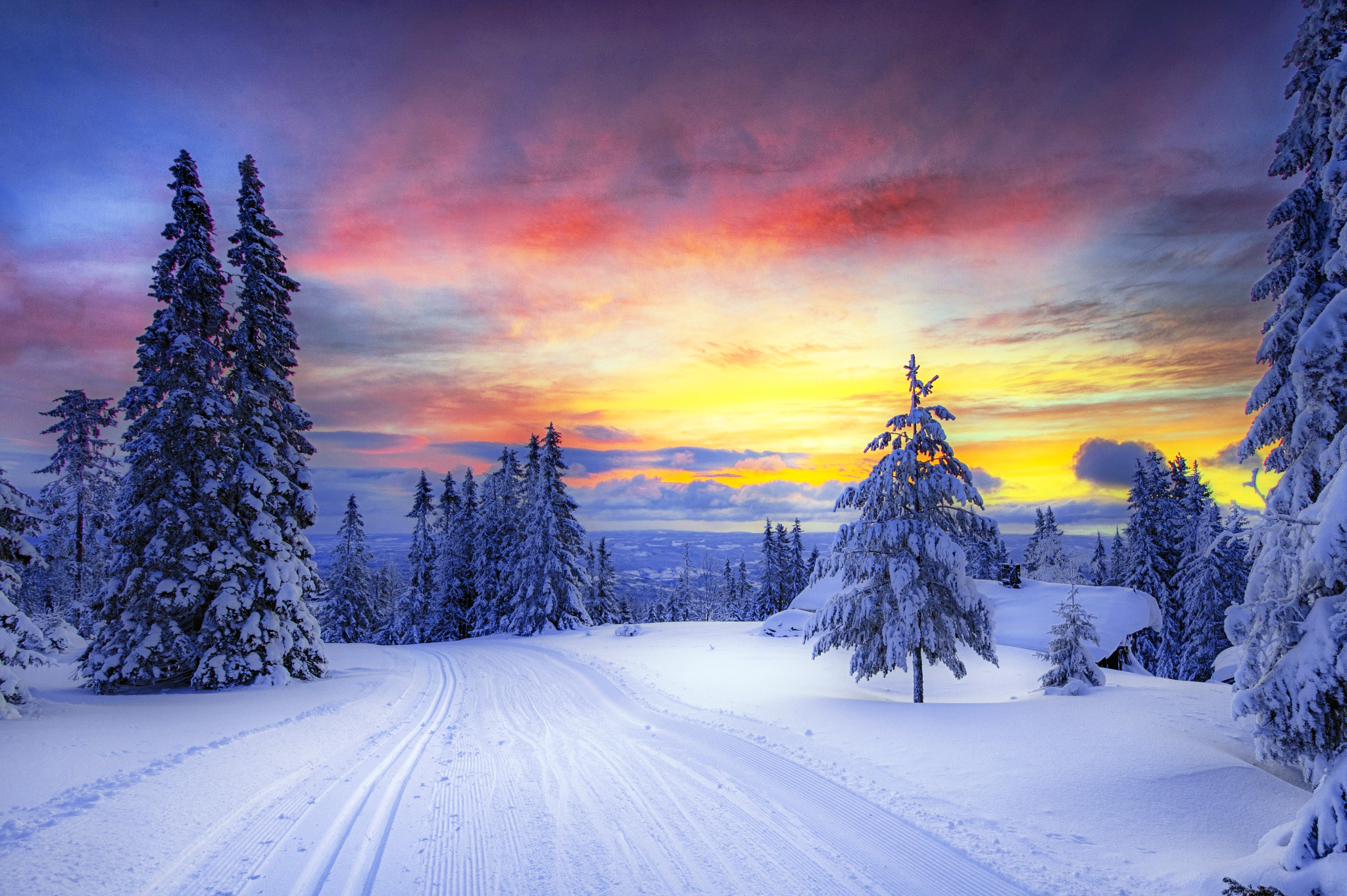 Скачать картинку Зима, Закат, Снег, Дорога, Дерево, Ландшафт, Земля/природа в телефон бесплатно.