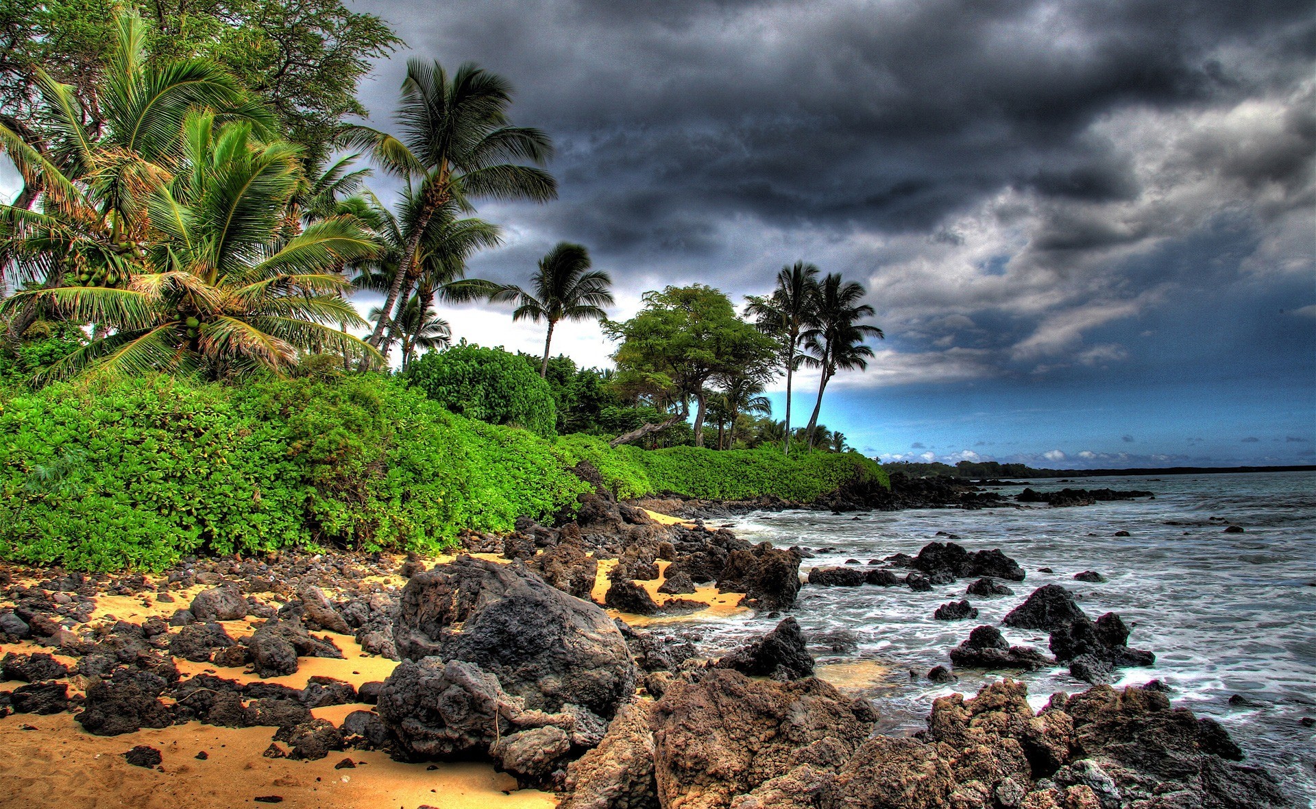 Descarga gratis la imagen Zona Tropical, Nube, Tierra/naturaleza, Palmera, Orilla Del Mar en el escritorio de tu PC