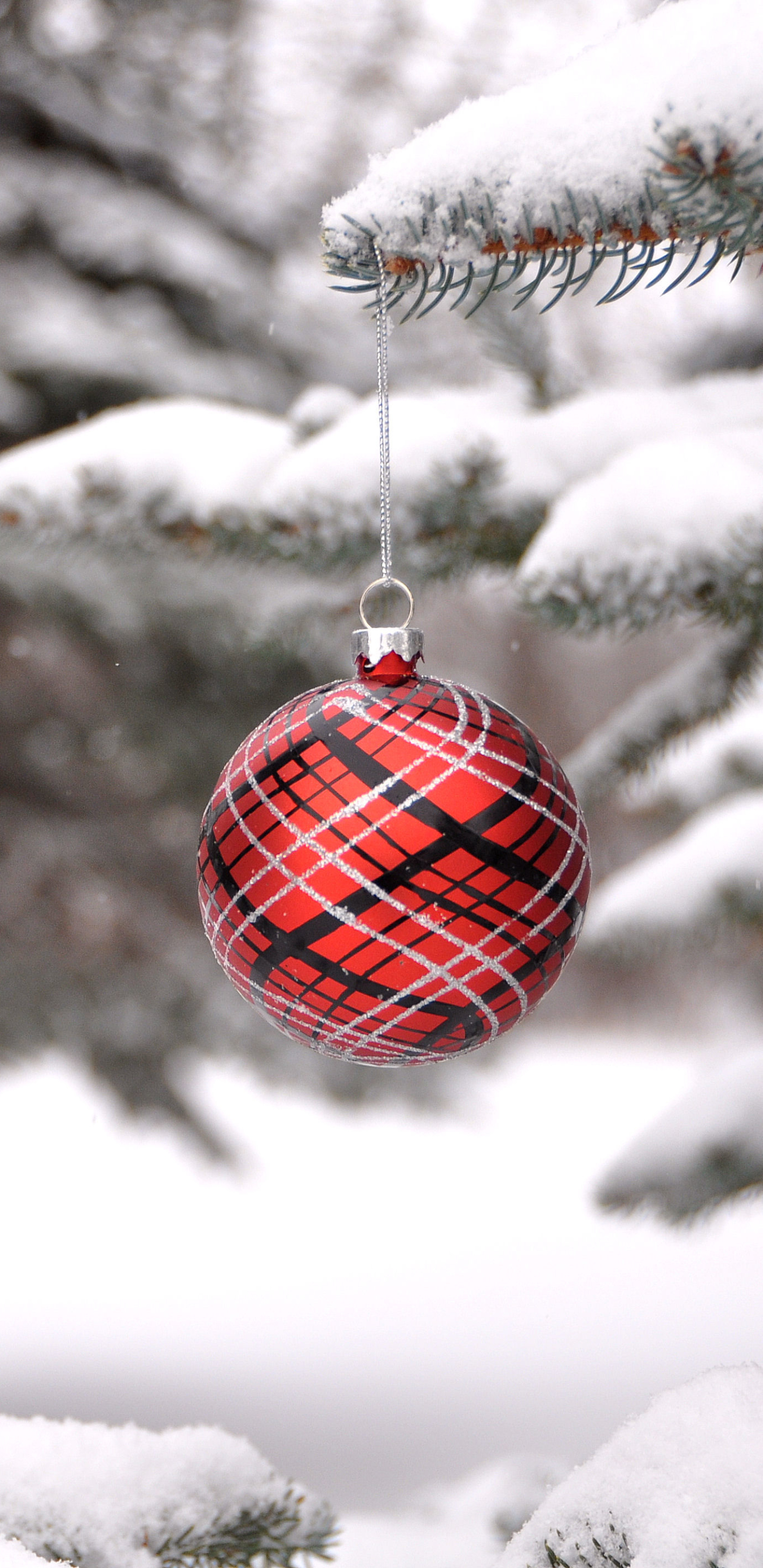 Download mobile wallpaper Christmas, Holiday, Christmas Ornaments for free.