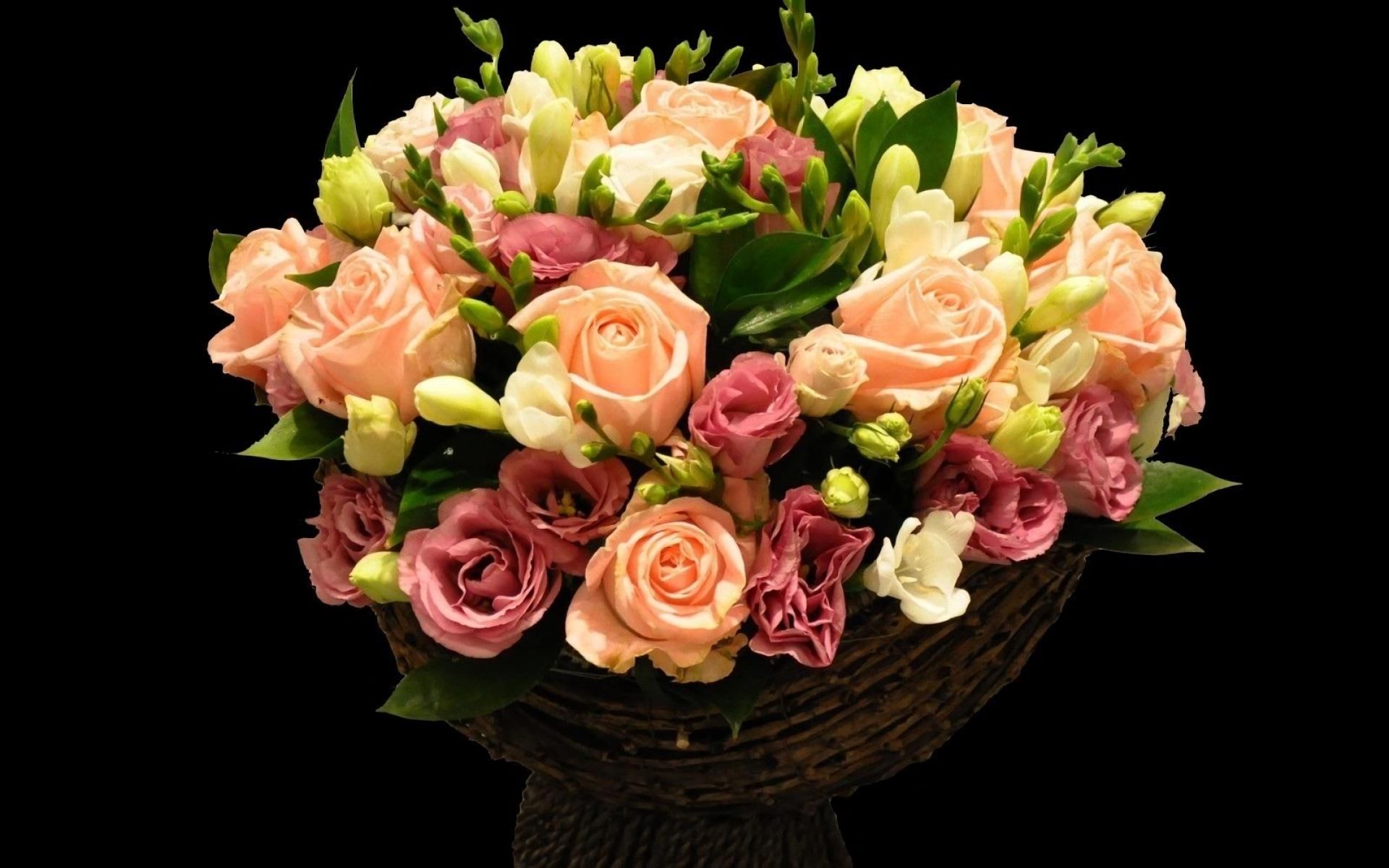Laden Sie das Blume, Rose, Fotografie, Pinke Blume, Stillleben, Pfirsichblüte-Bild kostenlos auf Ihren PC-Desktop herunter