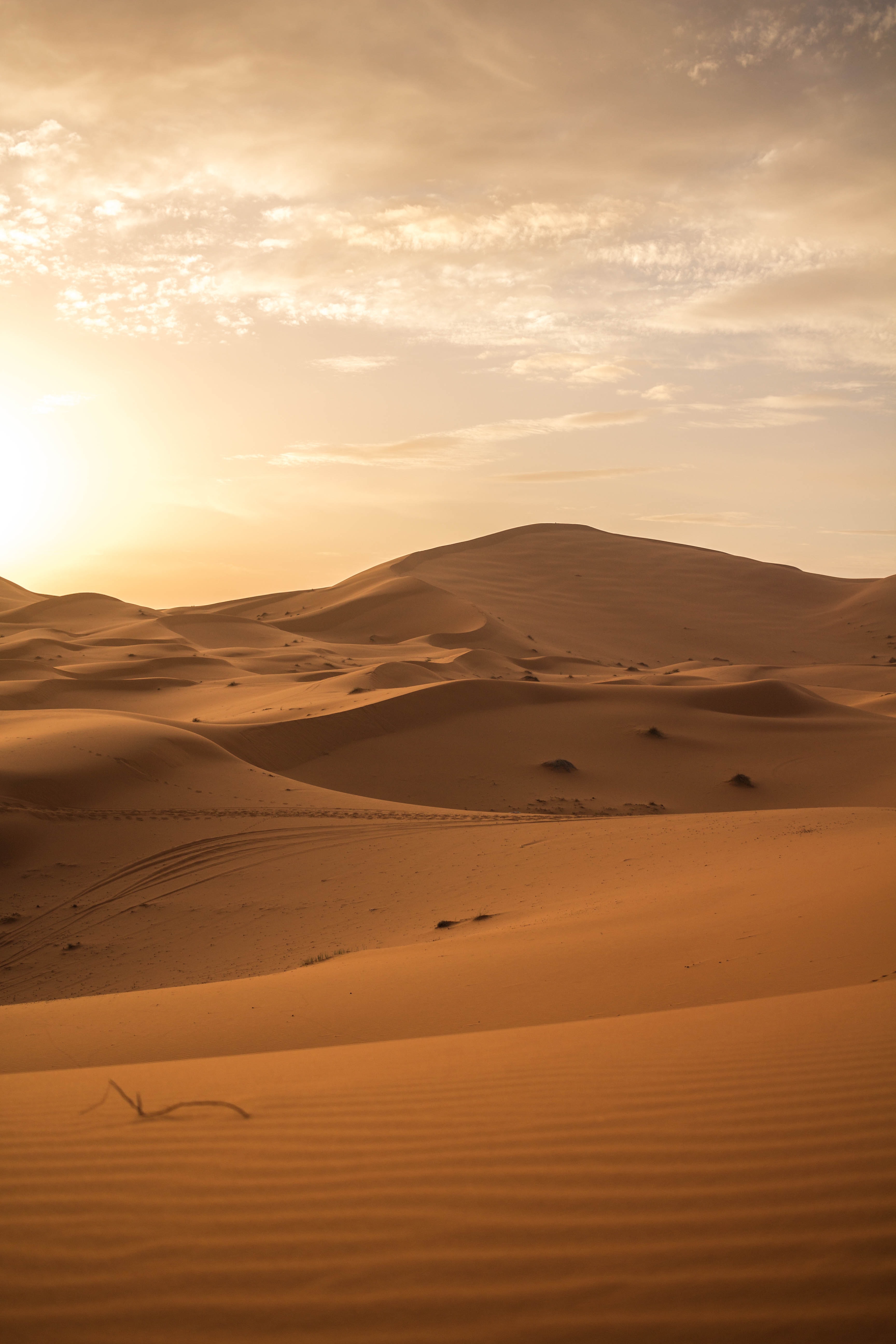 81352 Bild herunterladen natur, sand, wüste, horizont, dünen, links - Hintergrundbilder und Bildschirmschoner kostenlos