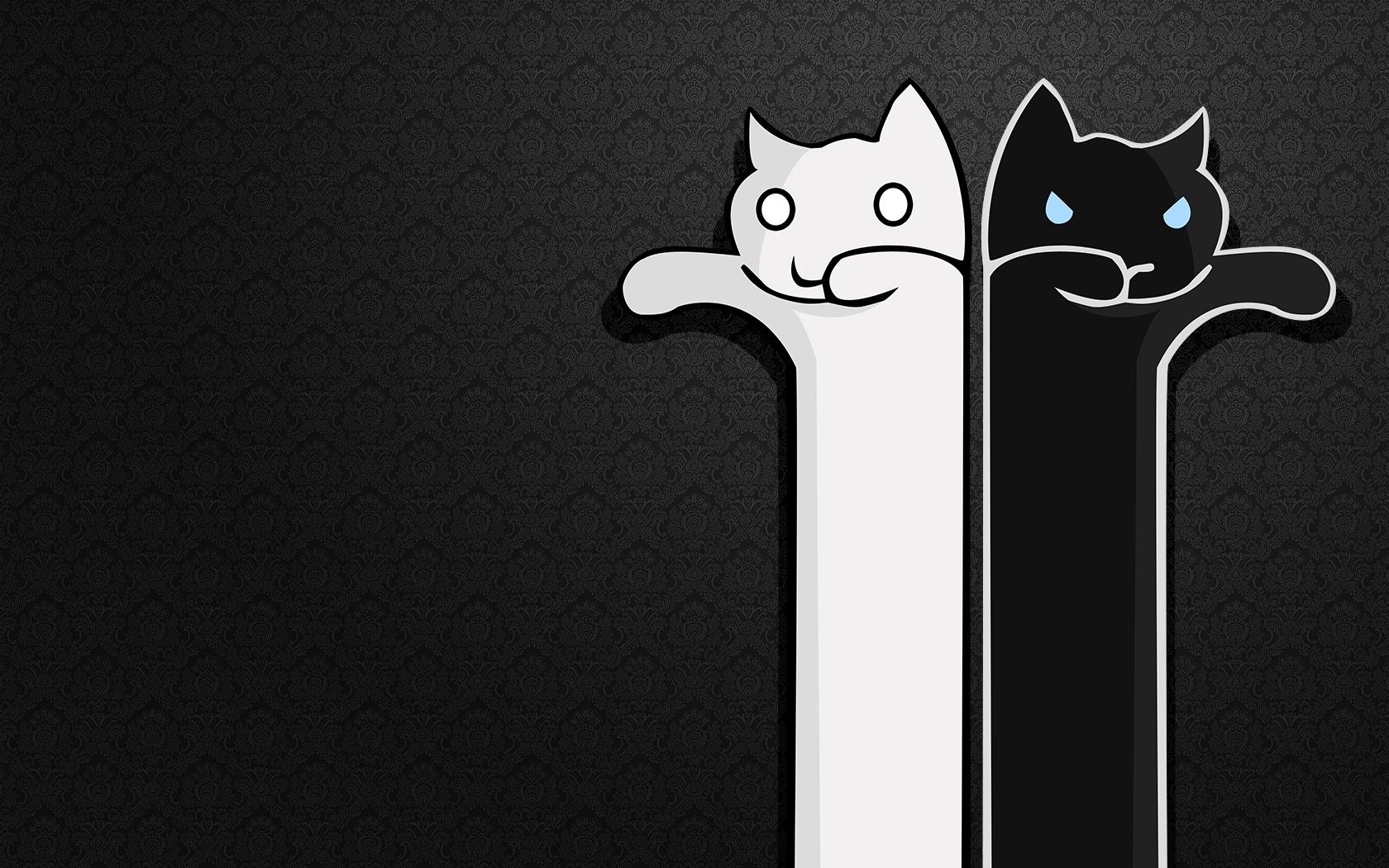 Free download wallpaper Texture, Bw, Chb, Cats, Vector on your PC desktop