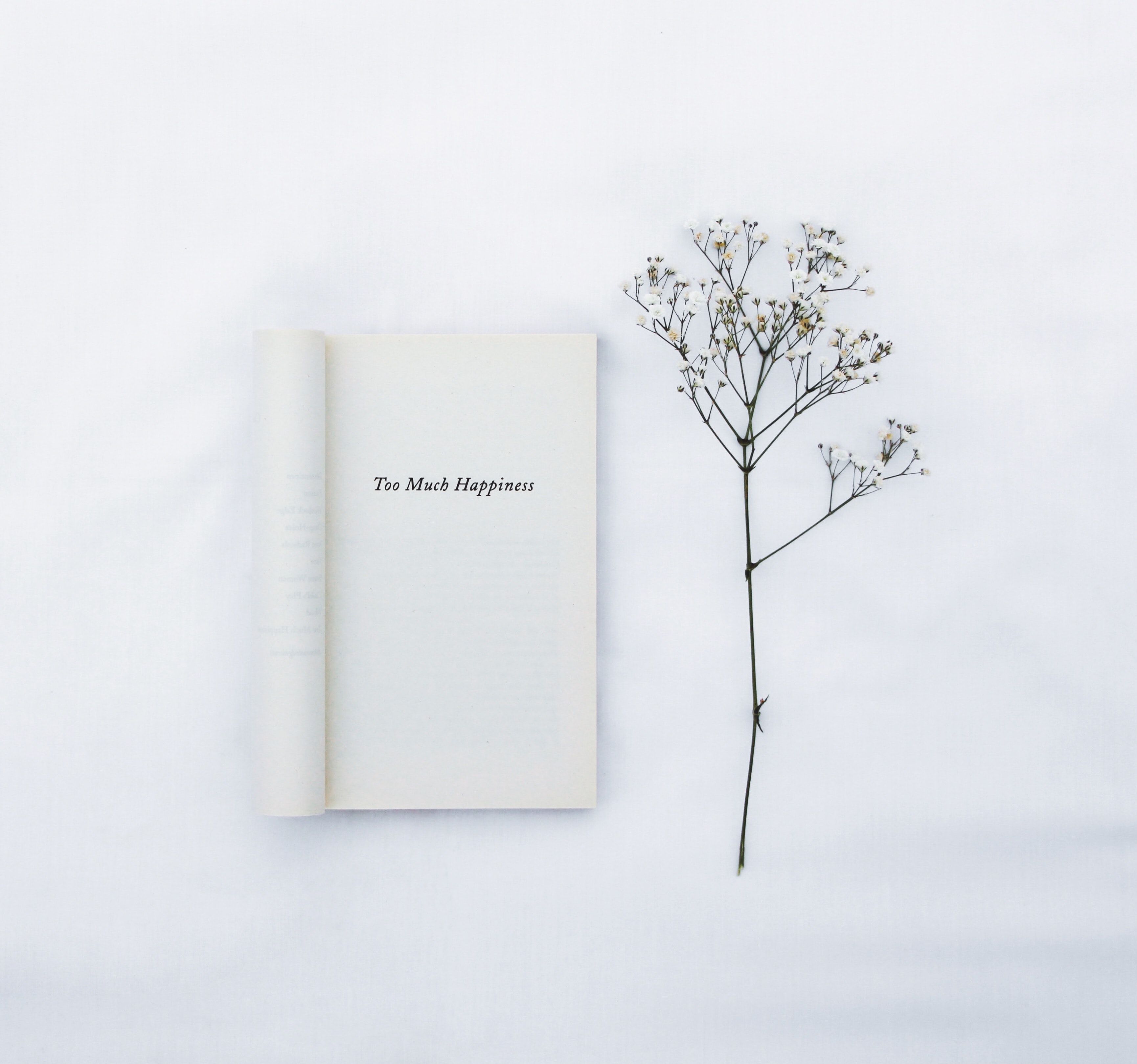 words, book, minimalism, flower, white, inscription Full HD
