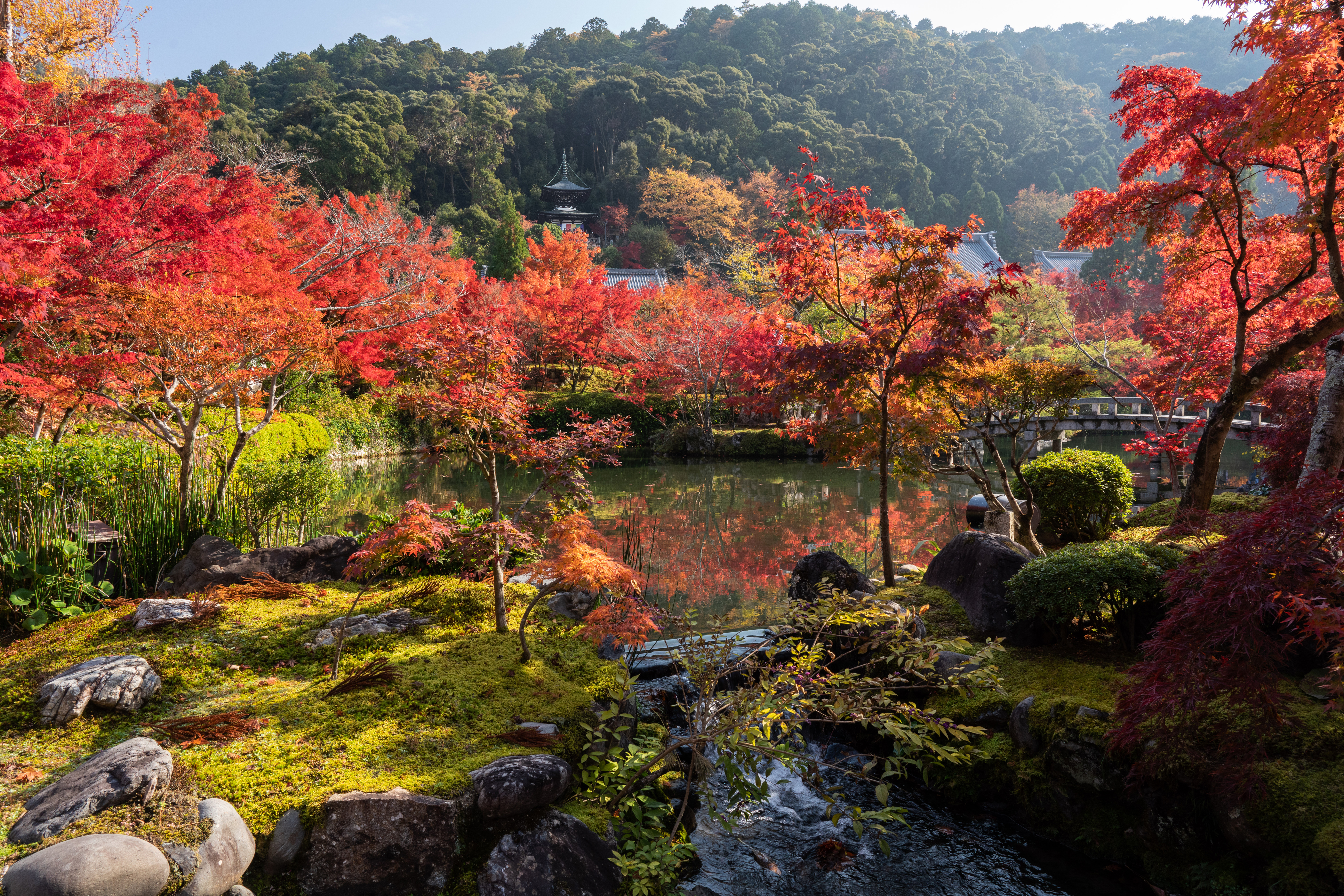 Download mobile wallpaper Nature, Fall, Garden, Pond, Man Made, Japanese Garden for free.
