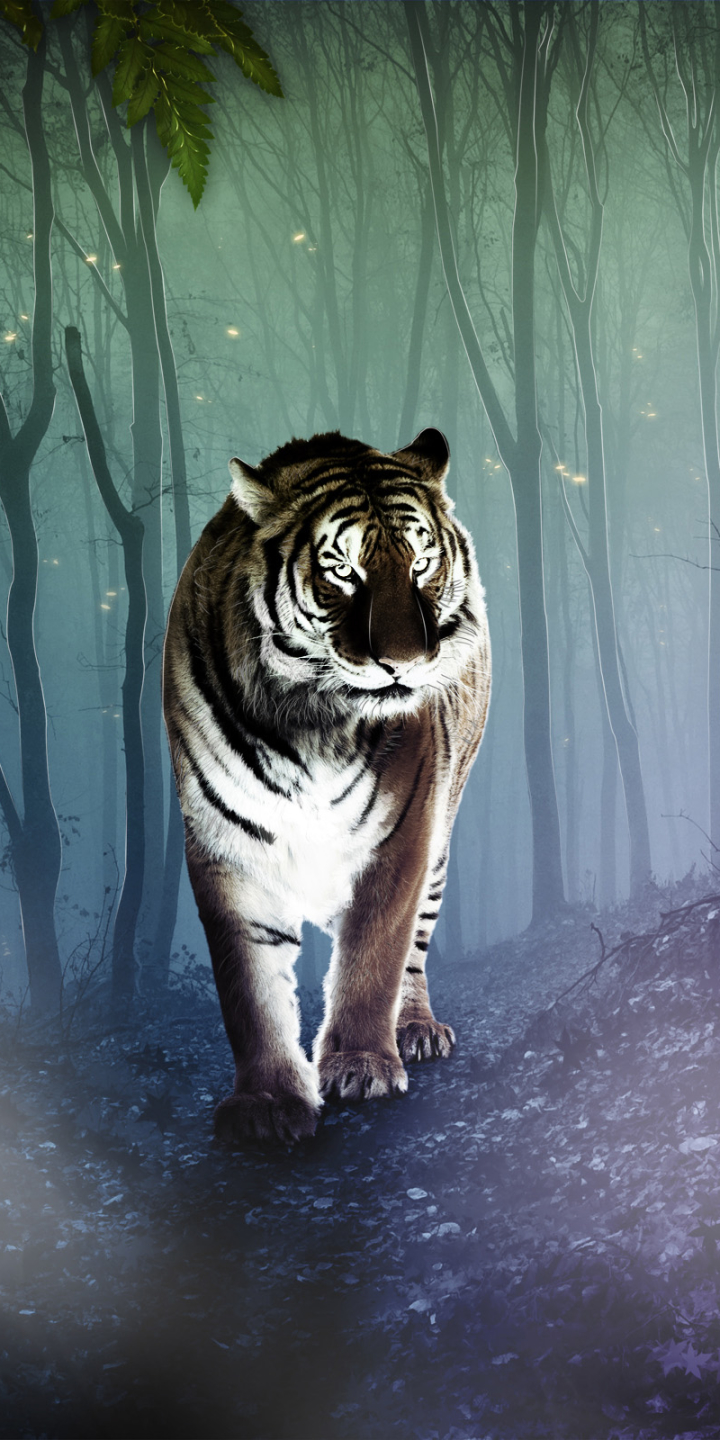 Descarga gratuita de fondo de pantalla para móvil de Animales, Gatos, Fantasía, Tigre.