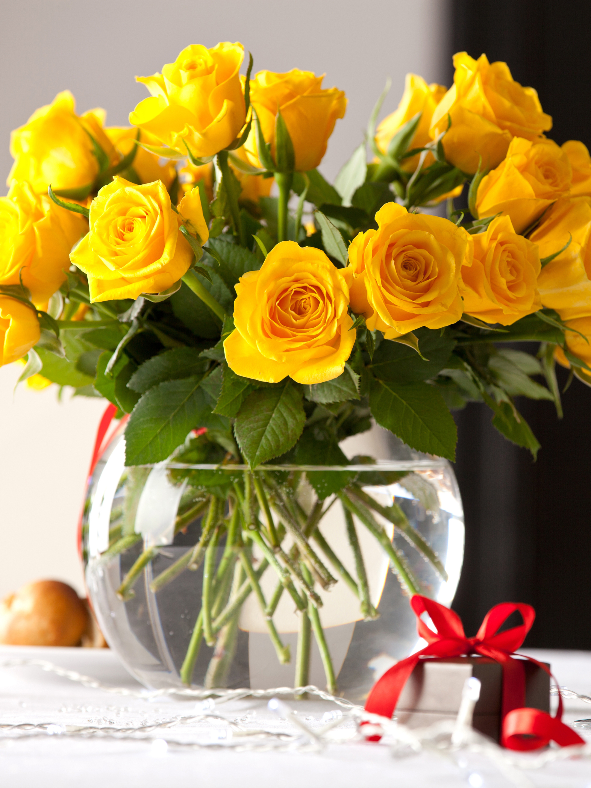 Téléchargez des papiers peints mobile Rose, Amour, Cadeau, Photographie, Fleur Jaune gratuitement.