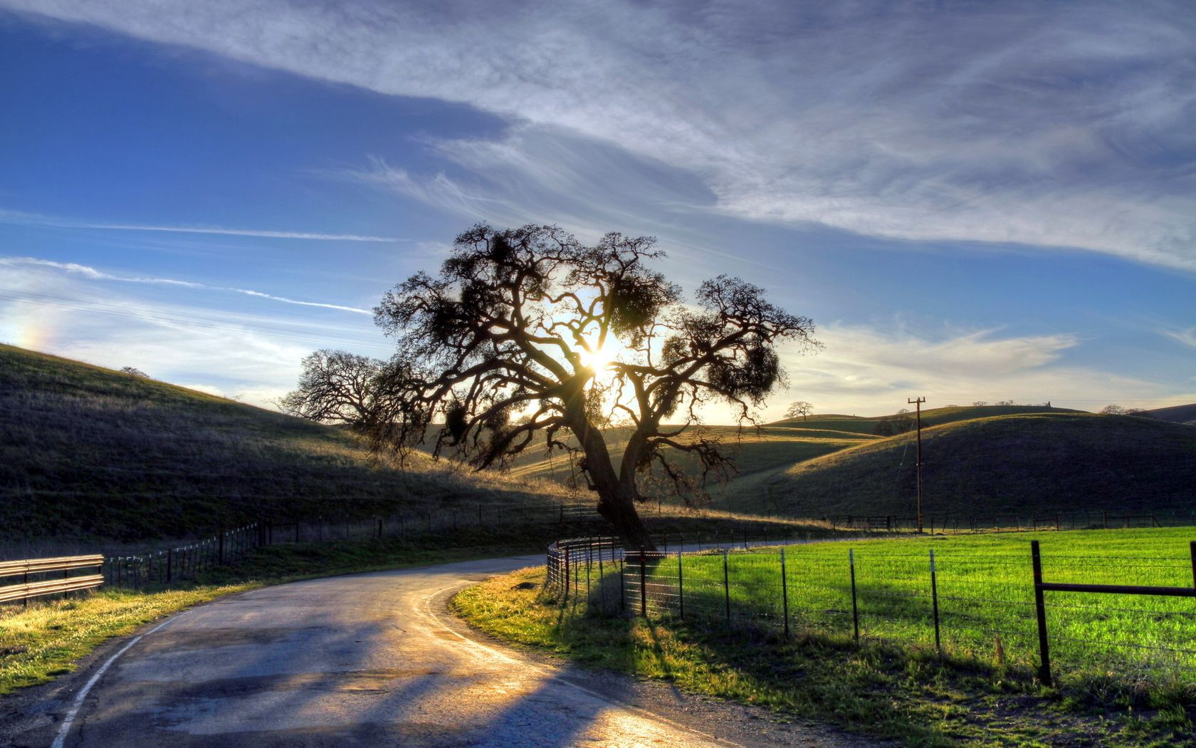 sunset, nature, sun, wood, road, turn, tree, evening, fencing, enclosure Image for desktop
