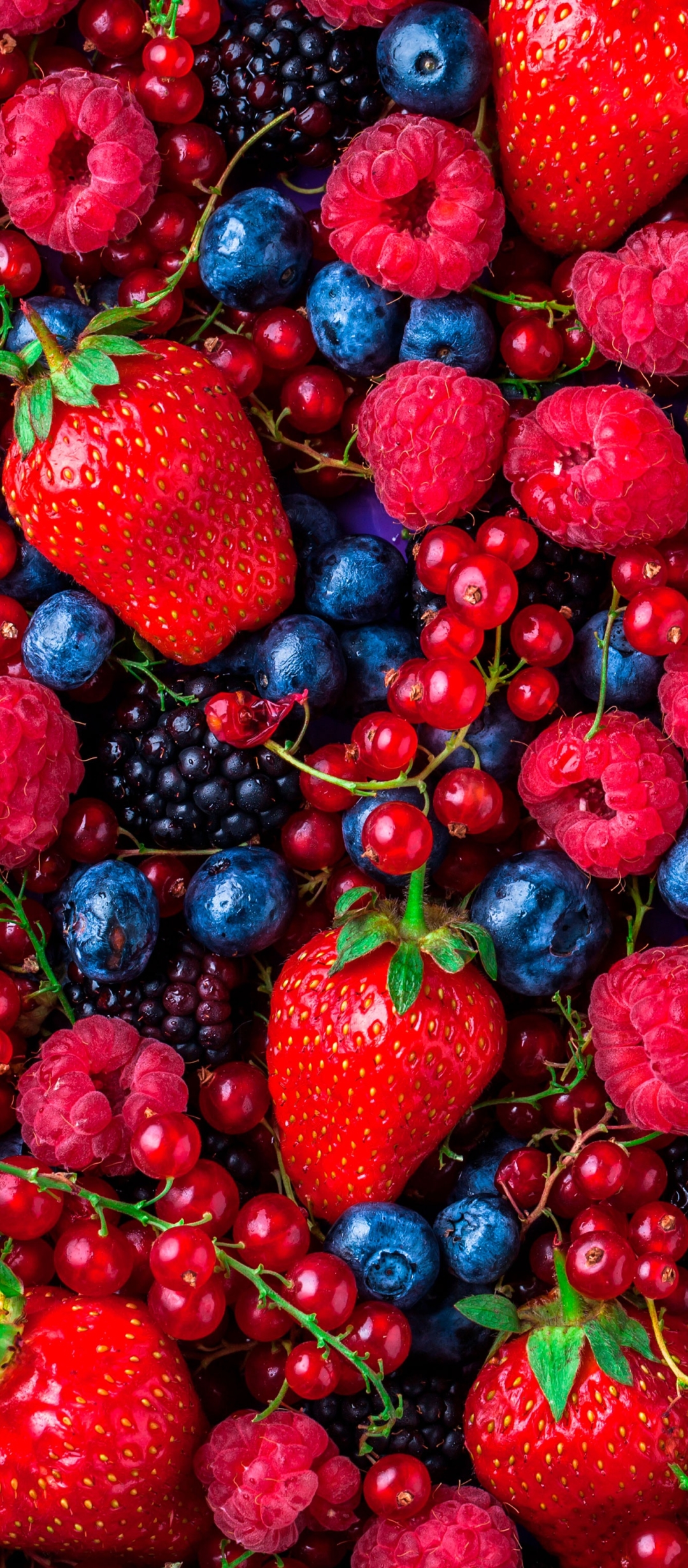 Handy-Wallpaper Obst, Erdbeere, Himbeere, Brombeere, Frucht, Blaubeere, Heidelbeere, Nahrungsmittel kostenlos herunterladen.