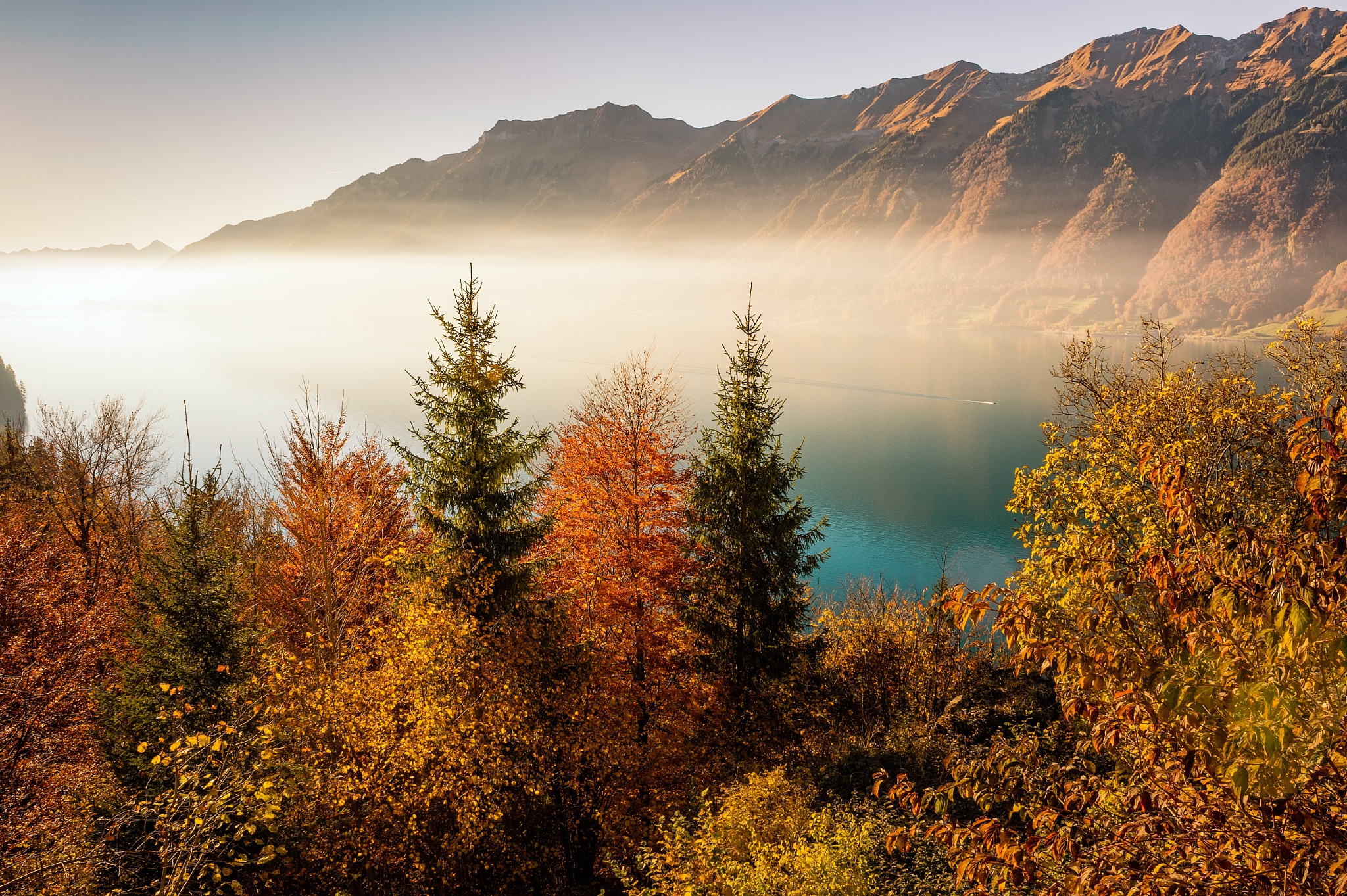Handy-Wallpaper Natur, Herbst, Baum, Nebel, Gebirge, Erde/natur kostenlos herunterladen.