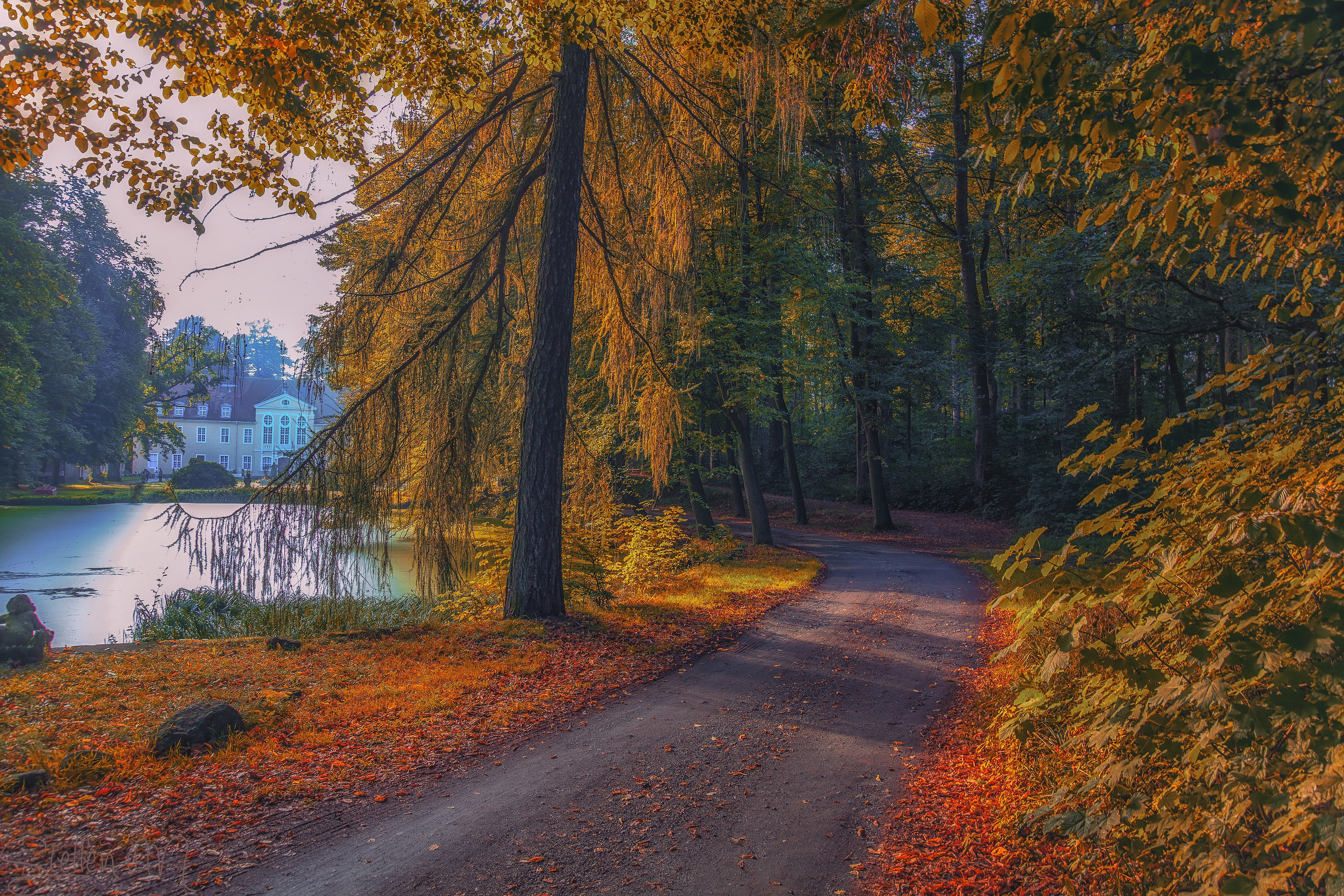 Laden Sie das Herbst, Gebäude, See, Straße, Park, Fotografie-Bild kostenlos auf Ihren PC-Desktop herunter