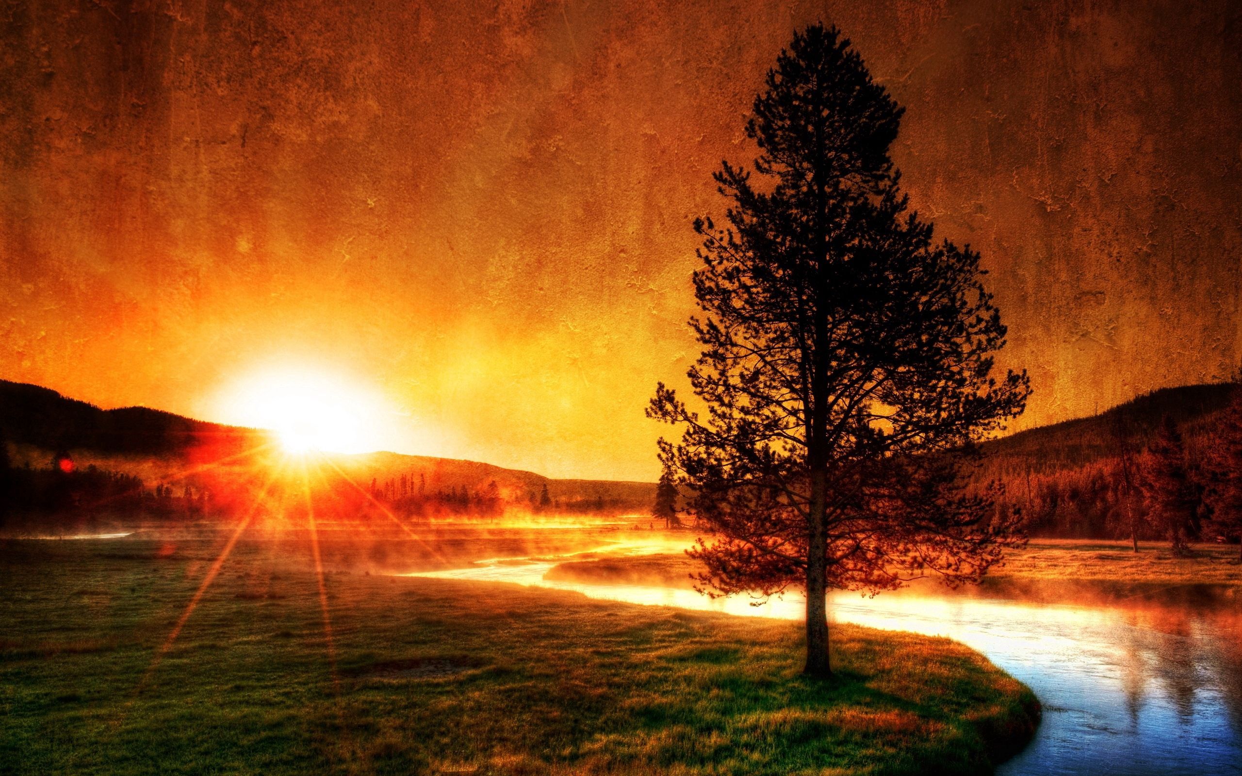 Download background beams, nature, rivers, sunset, sun, wood, rays, tree, fog, evening